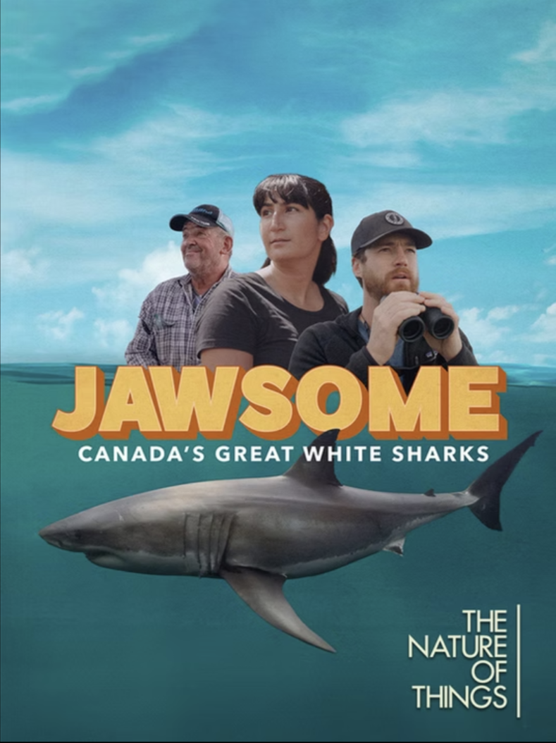 A promotional poster featuring three people, a man with binoculars, a woman, and an older man, standing against a blue sky background with a large shark beneath them. The text on the poster reads "Jawsome: Canada's Great White Sharks" and "The Nature of Things."