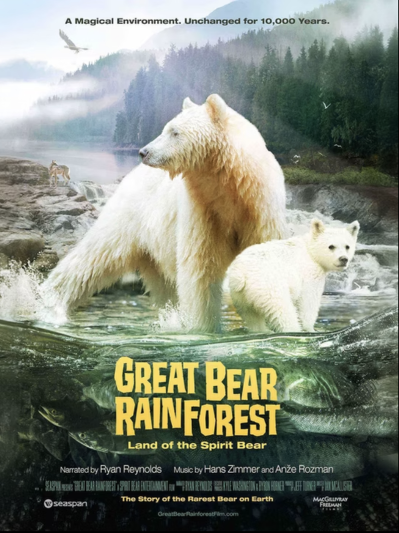 Poster for the documentary 'Great Bear Rainforest', showing a large bear standing in water alongside a smaller bear cub, with a forest and mountains in the background. The tagline reads 'A Magical Environment. Unchanged for 10,000 Years.'