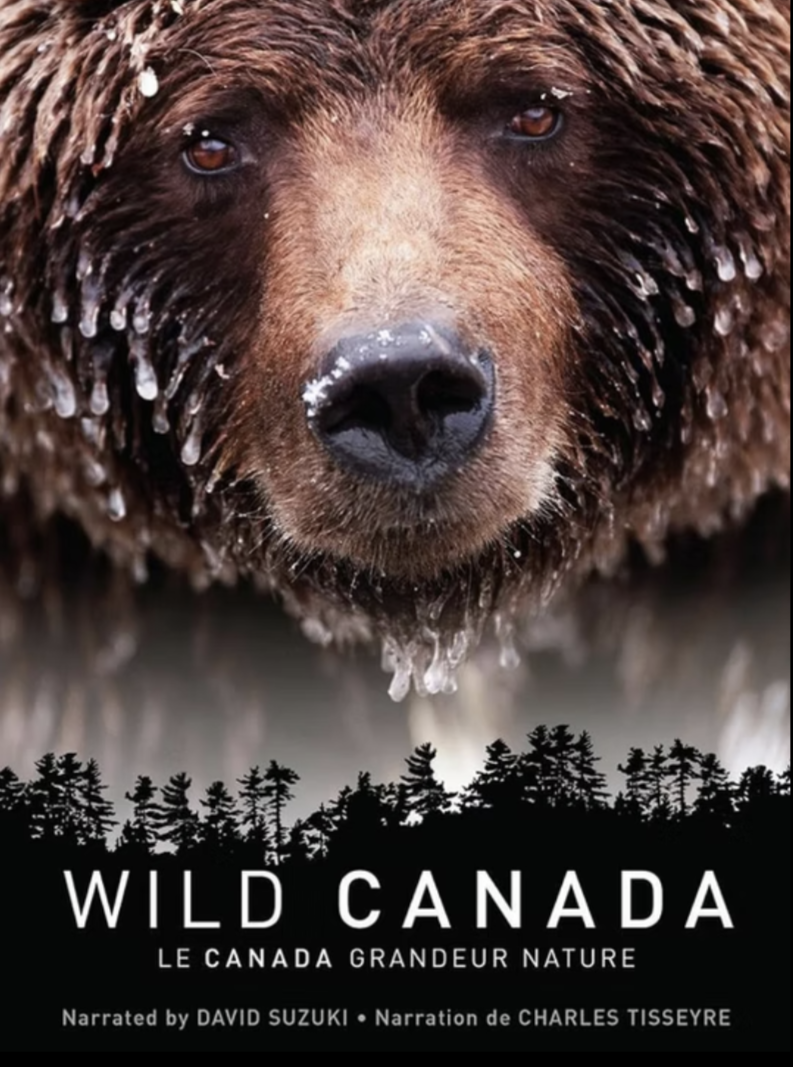 Close-up of a brown bear's face with droplets of water on its fur and nose, with a forest silhouette and the text "WILD CANADA LE CANADA GRANDEUR NATURE" at the bottom.