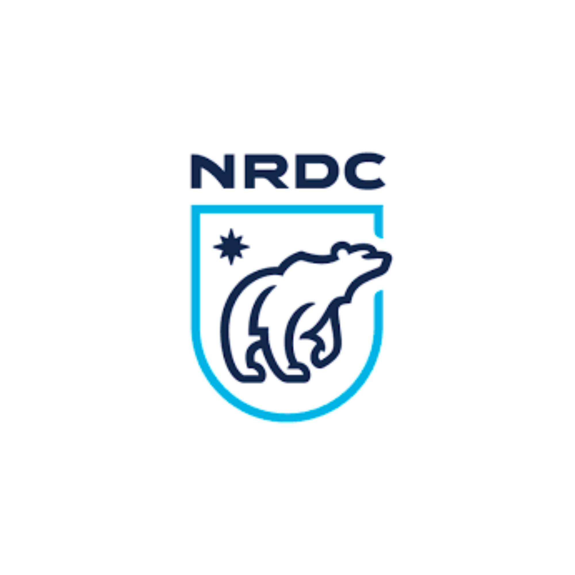 NRDC square.png