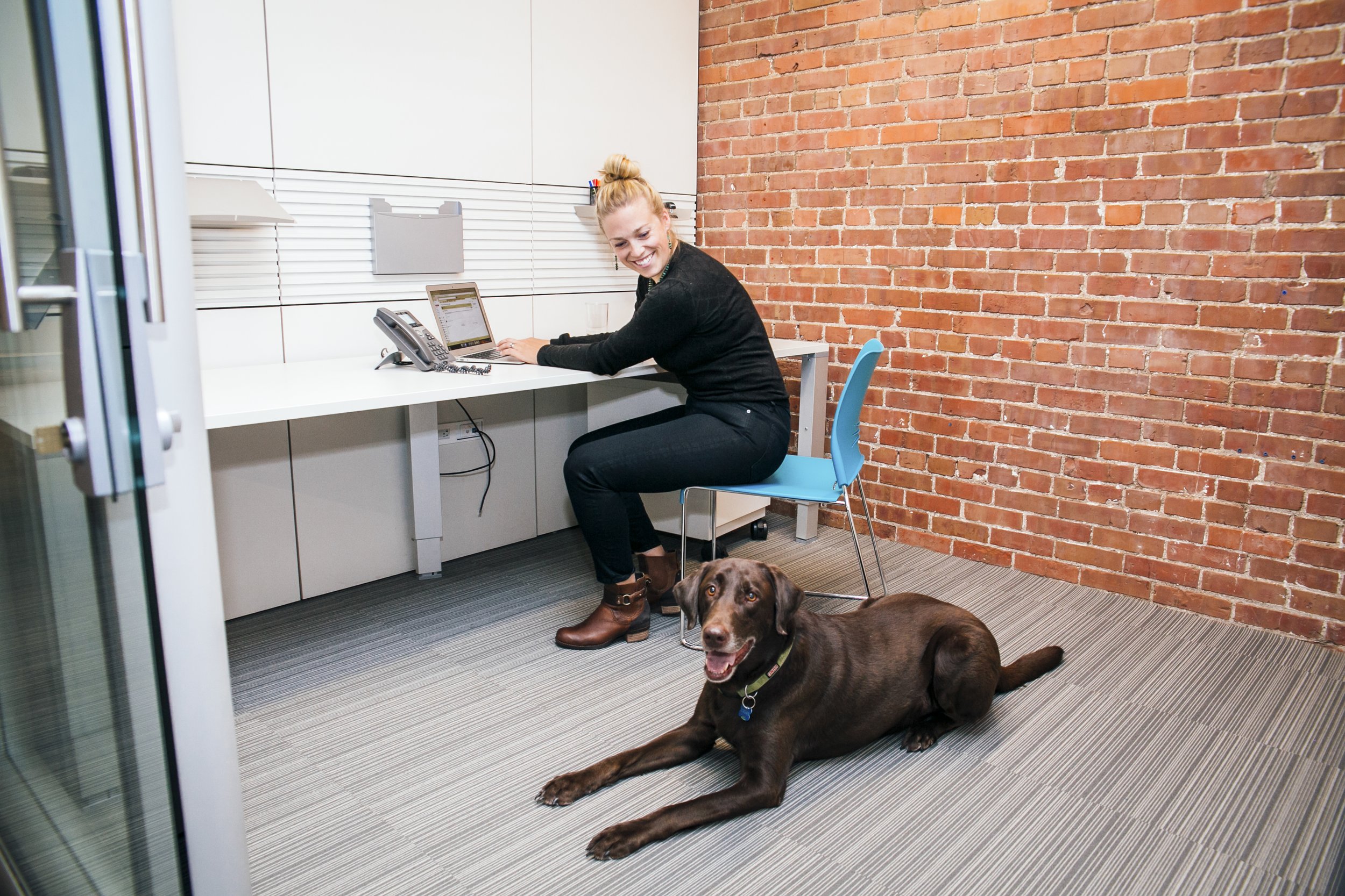 A woman with blonde hair tied up, sitting at a white desk in an office, smiling while working on a laptop. A brown dog with a black collar is lying on the floor nearby, looking towards the camera. The office has a red brick wall and a gray carpet.