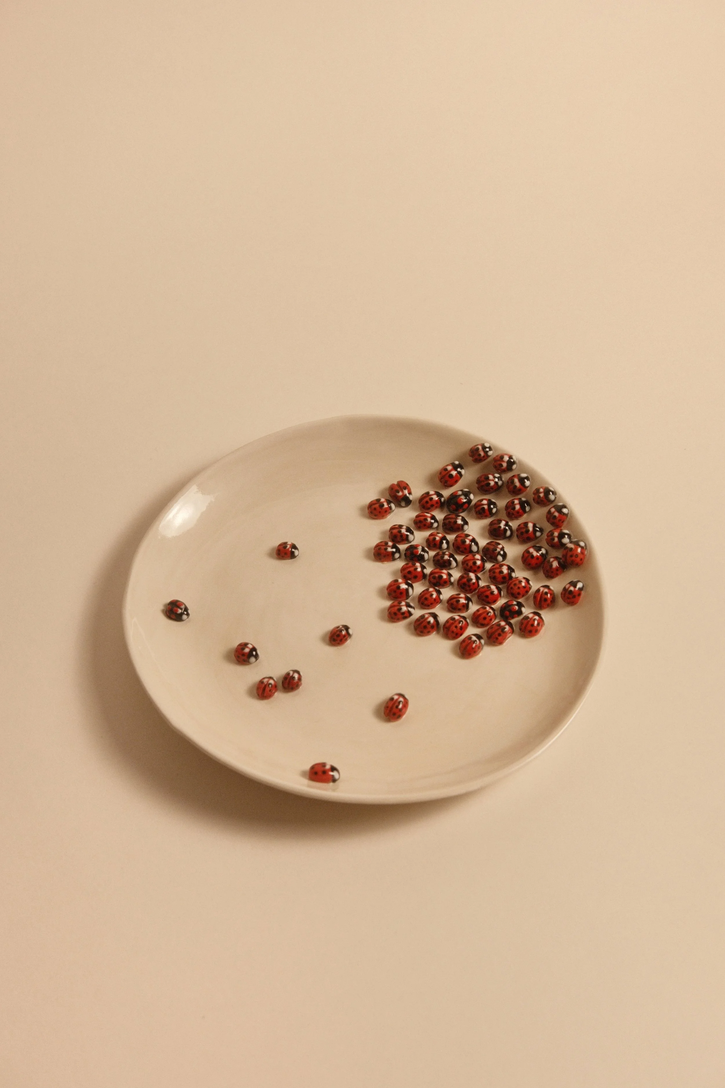 Ceramic Stoneware White Plate with 50+ 3D Hand-painted Ladybugs 