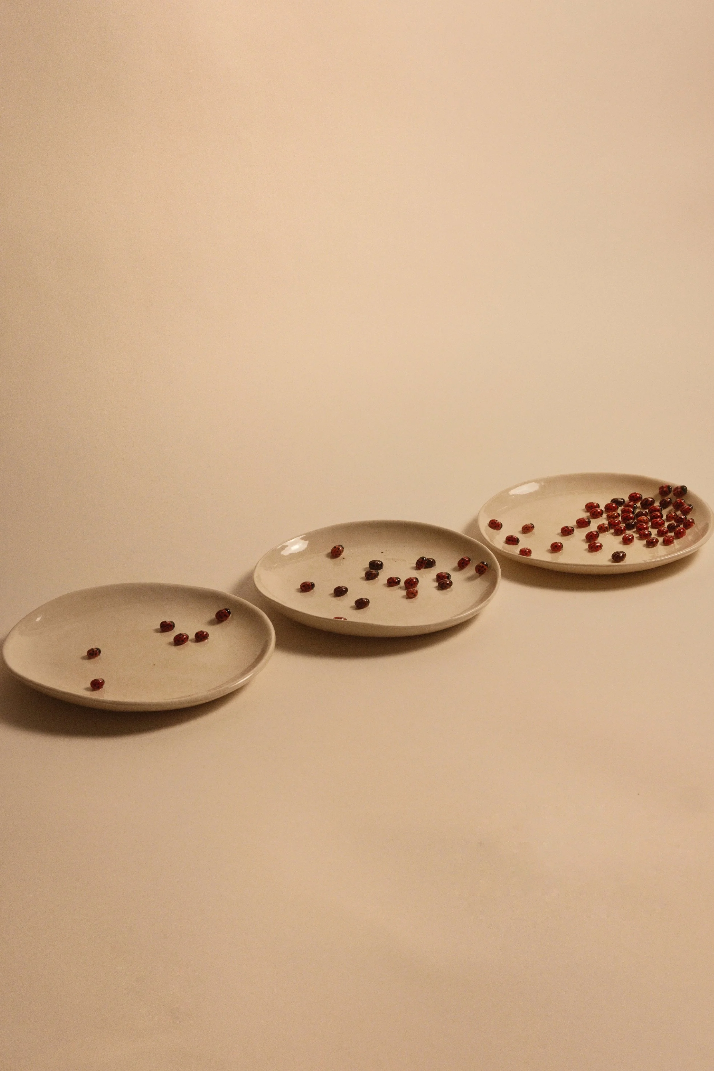 Ladybug Plate Trio