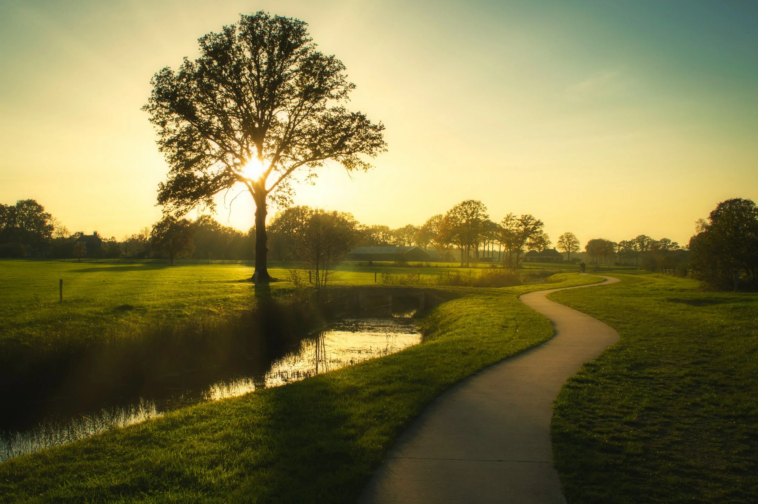 Sunset over a grassy park with a winding path, a small waterway, and trees in the distance.