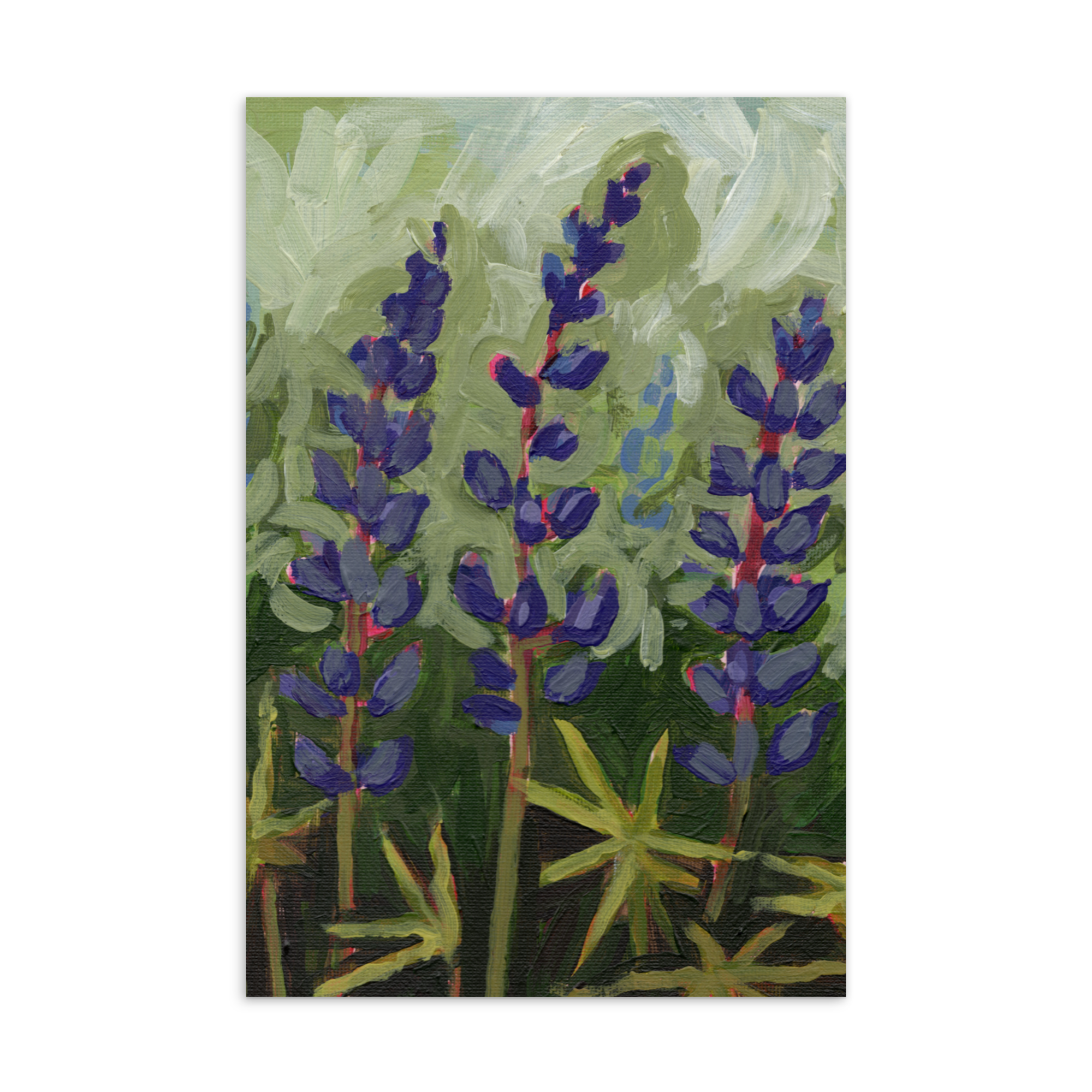 "Lupine Time" Mini Print