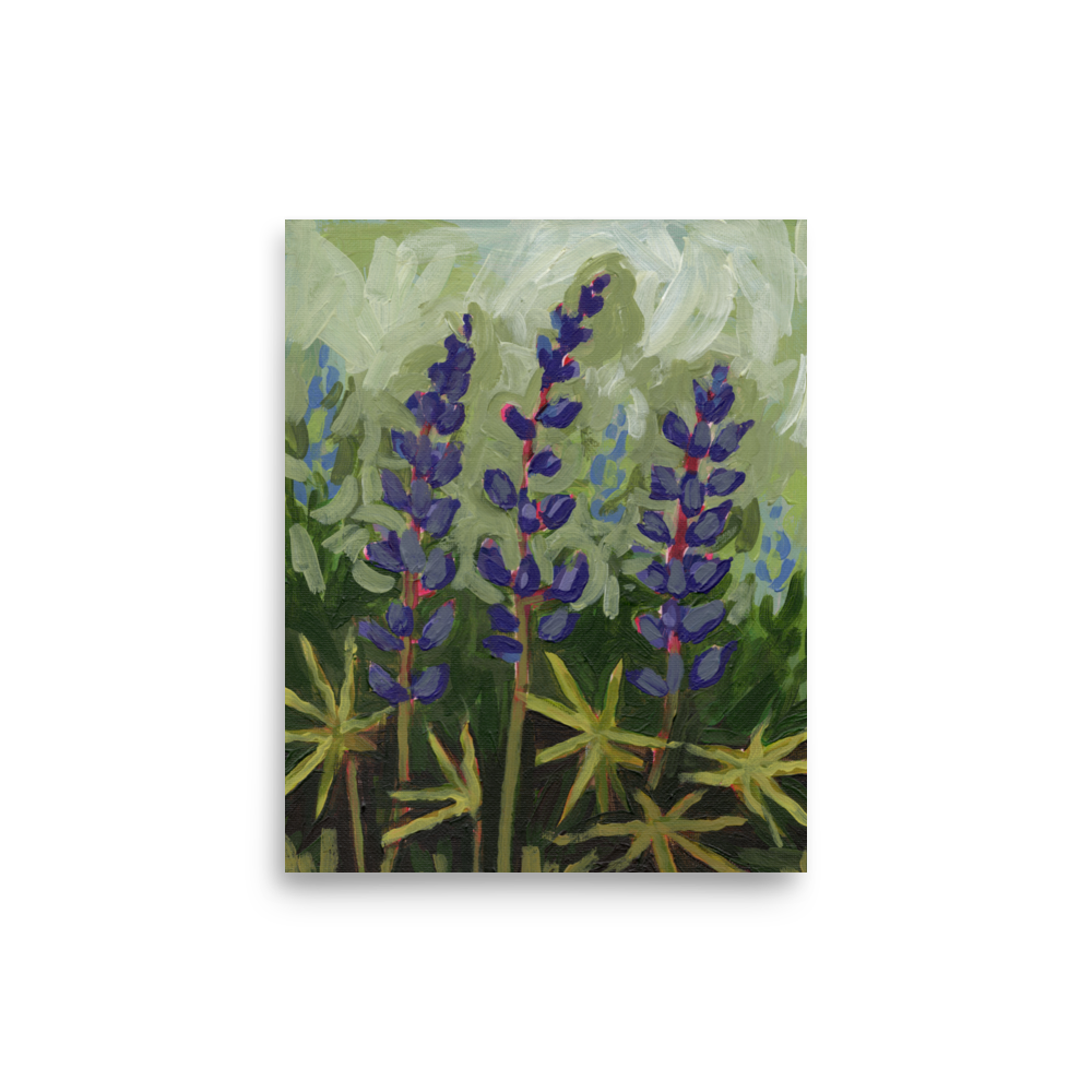 "Lupine Time" Museum Quality Print