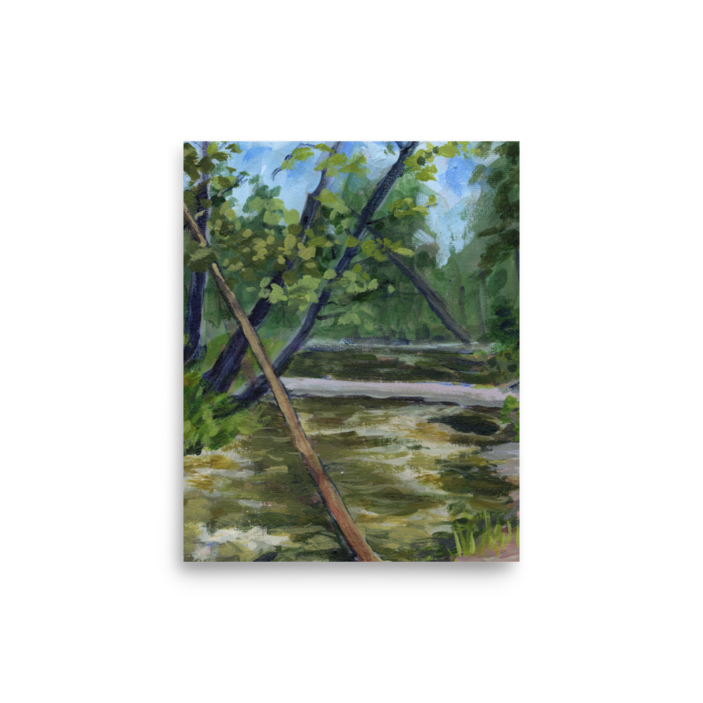 "Lava Creek, Yellowstone" Museum Quality Print