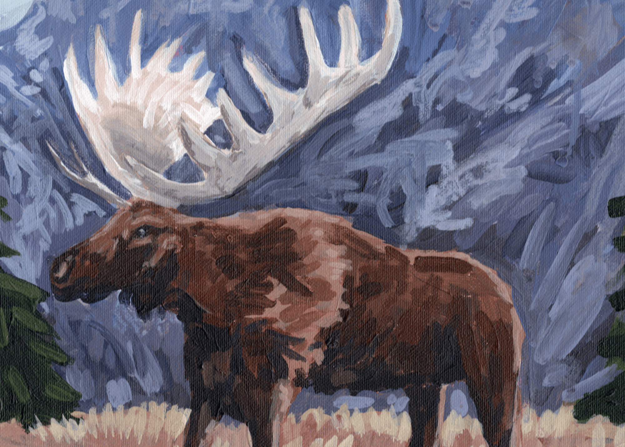 Painting Moose of the Mountains by Montana artist Dawn Gibson
