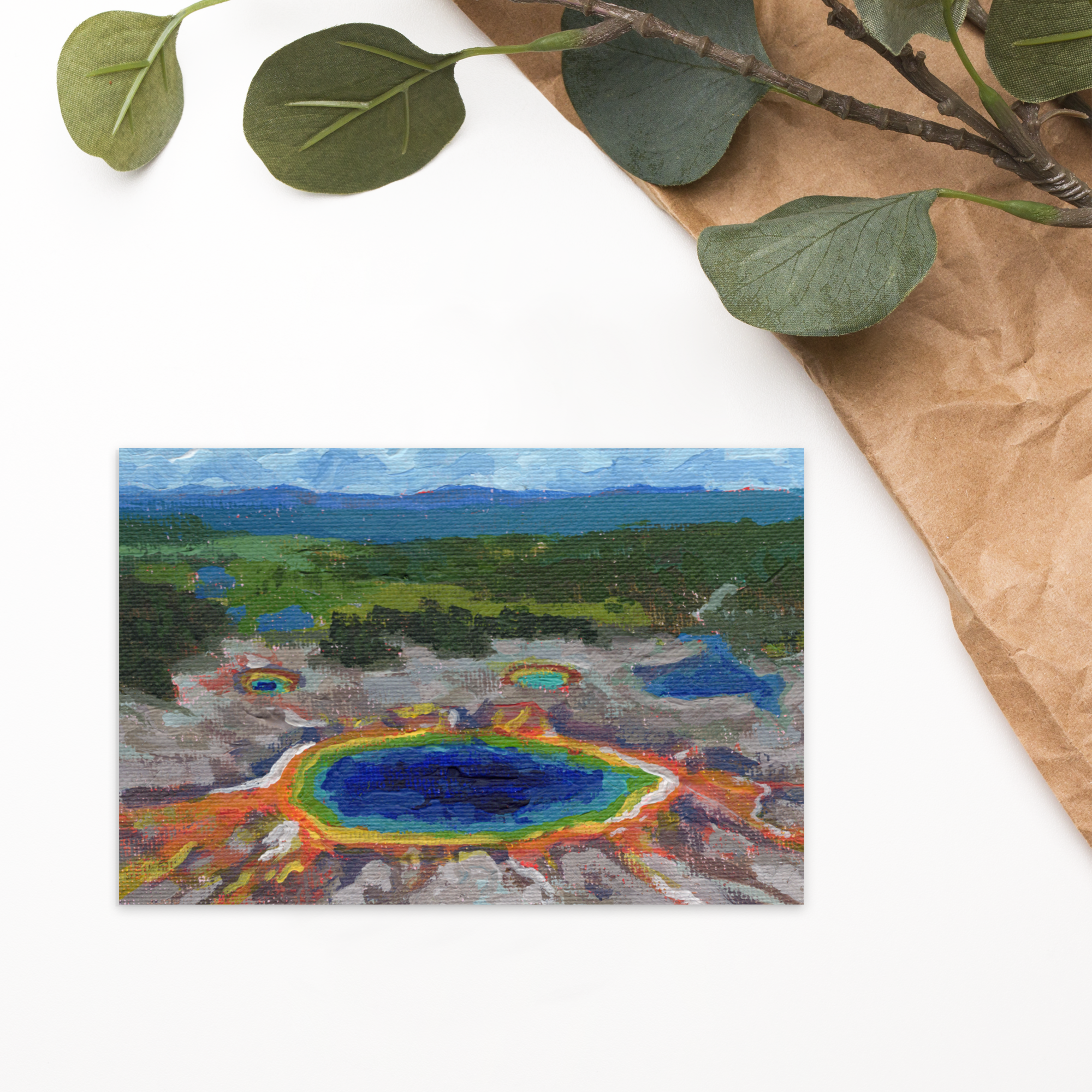 standard-postcard-4x6-front-6a6d74077a225.png