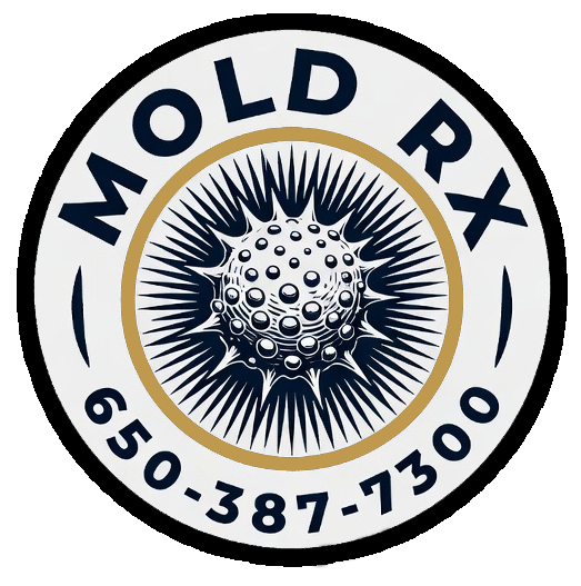 Mold Rx