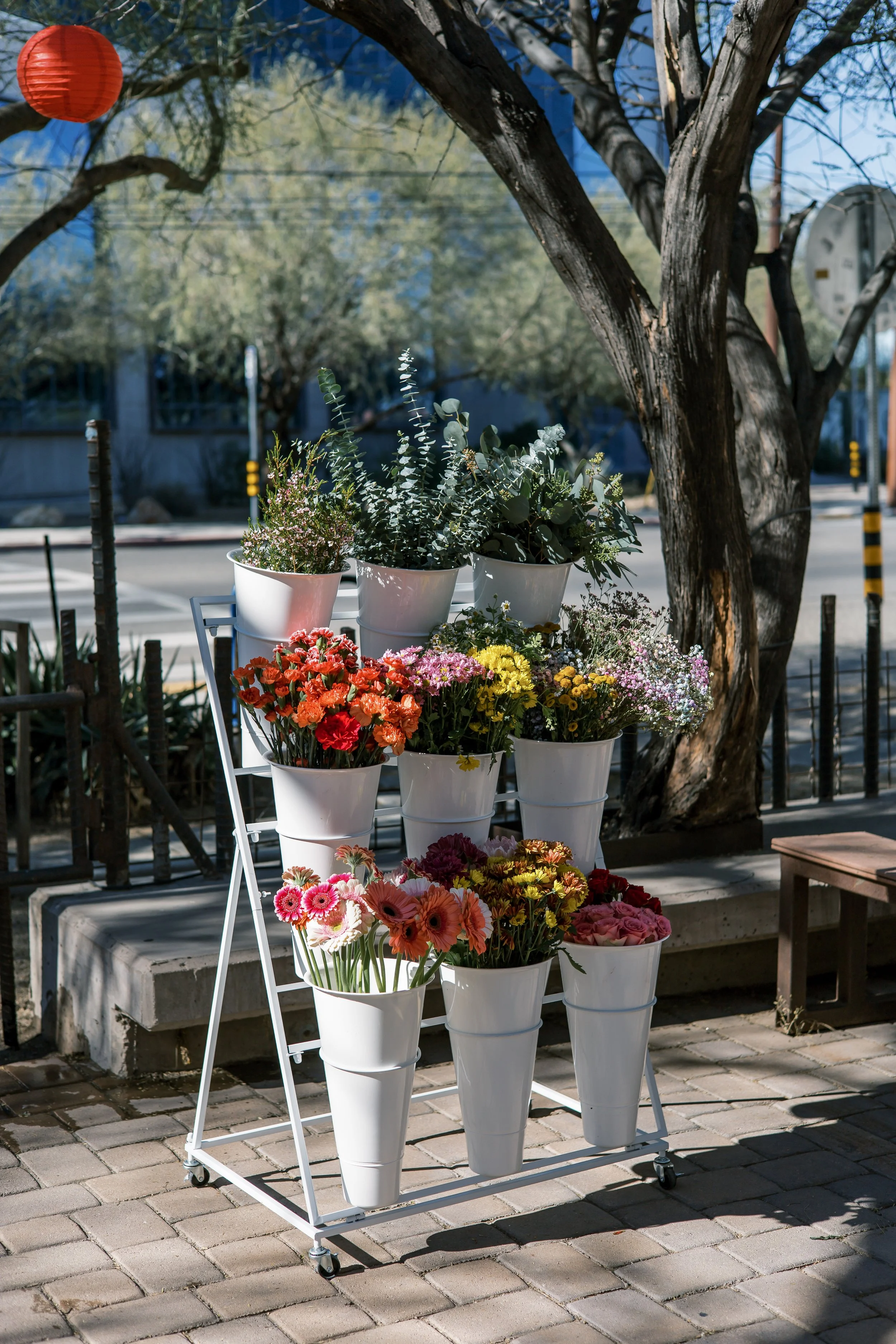 Decorations Zoomies Play Cafe sensory birthday party experience