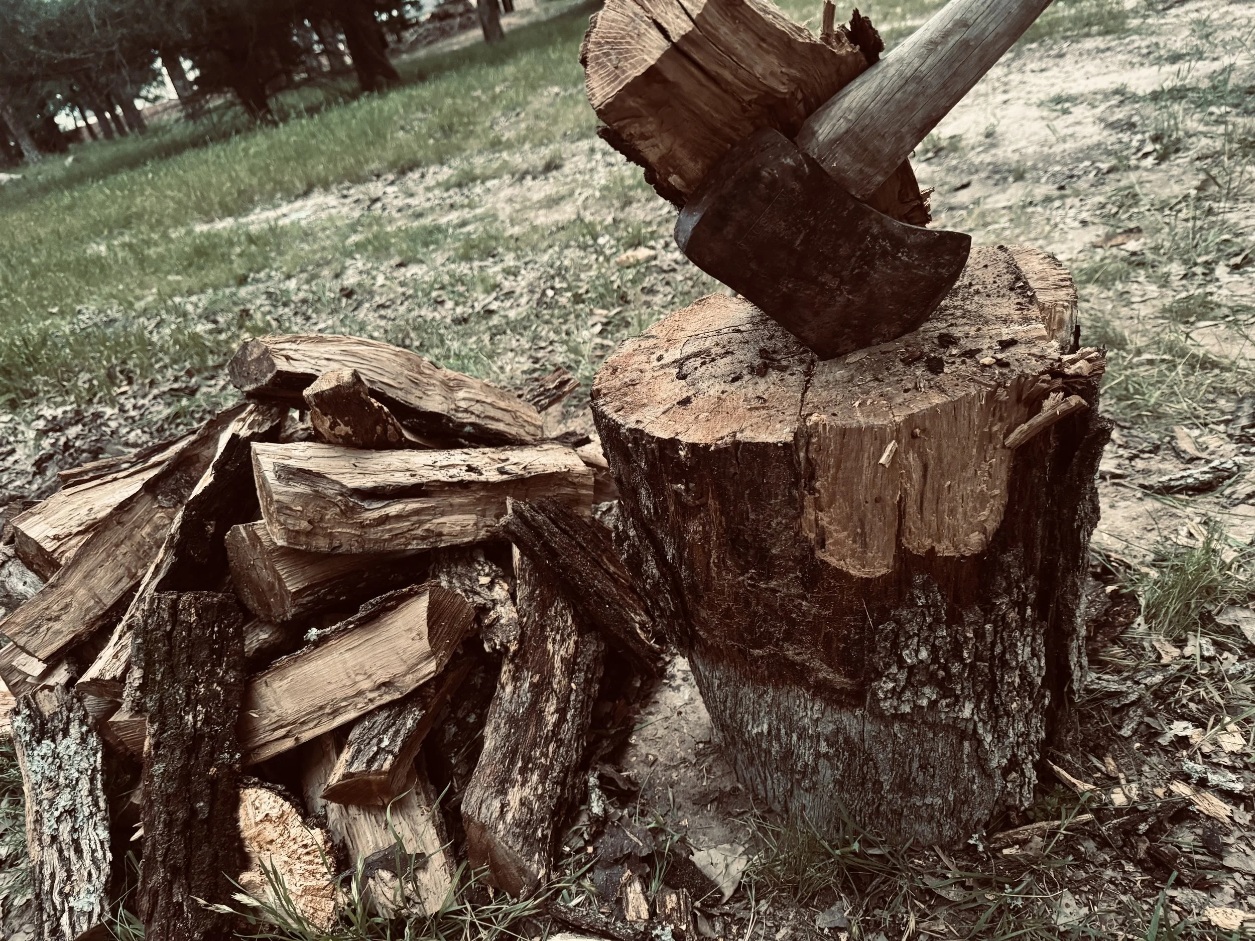 When the Cold Comes: How We Prepare Our Farm (and Hearts) for Winter