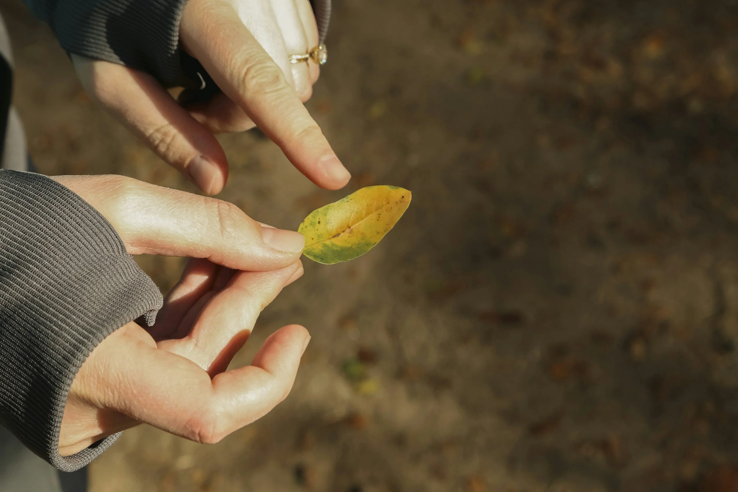 How We Teach Natural Living Through Our Classes