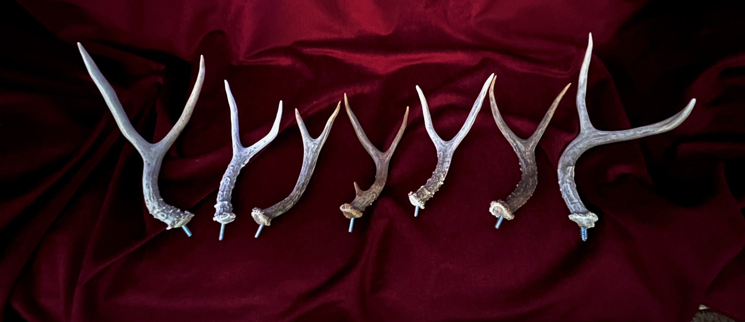 IMG_0922.jpeg (Copy)