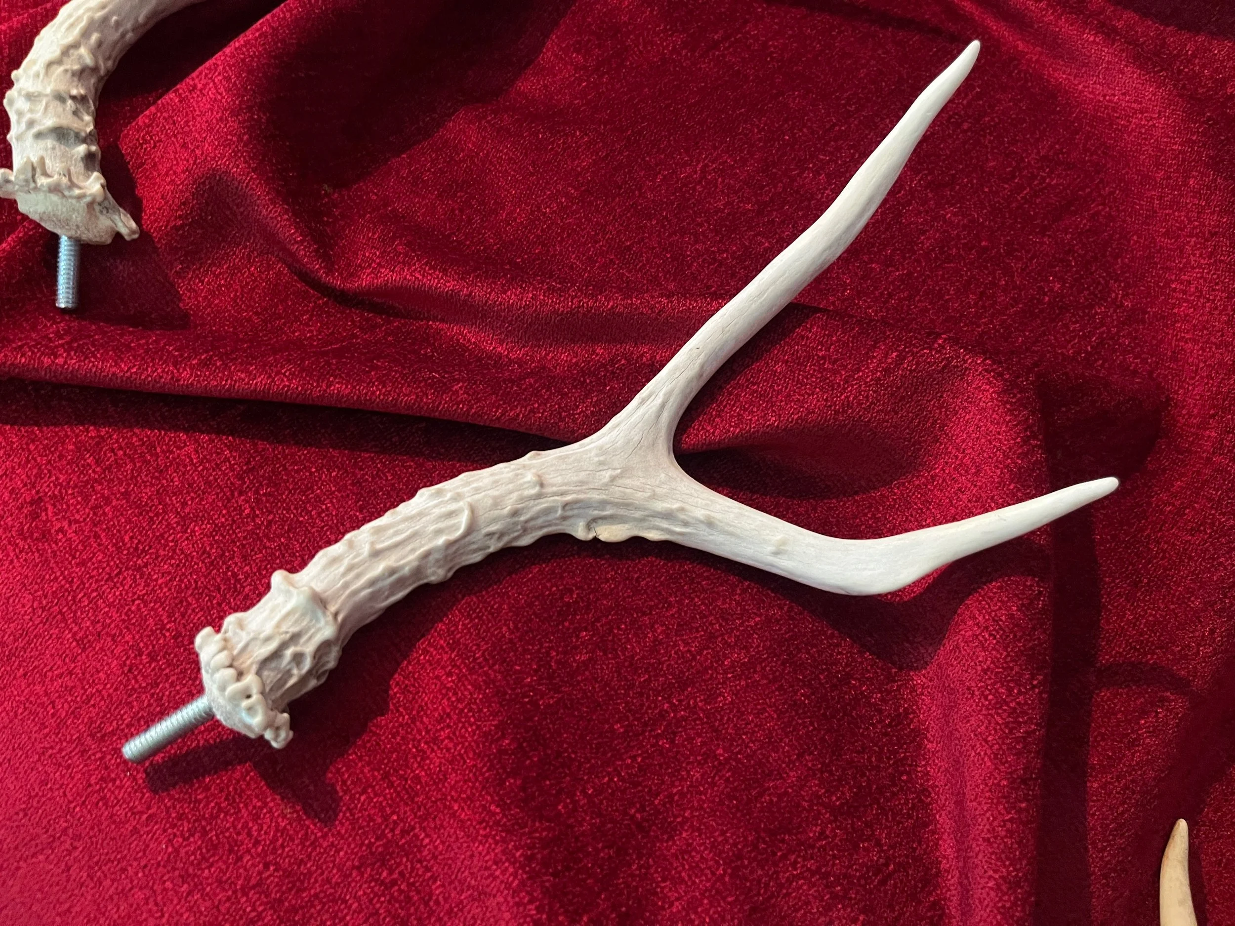 IMG_0944.jpeg (Copy)