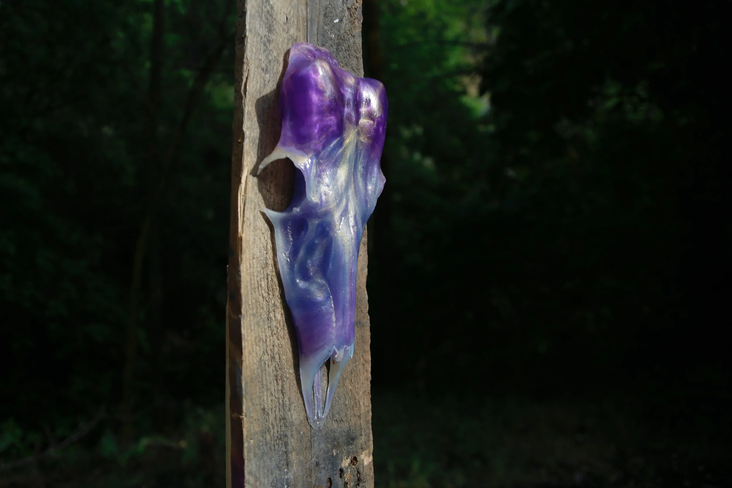 VIOLOT // WRAD