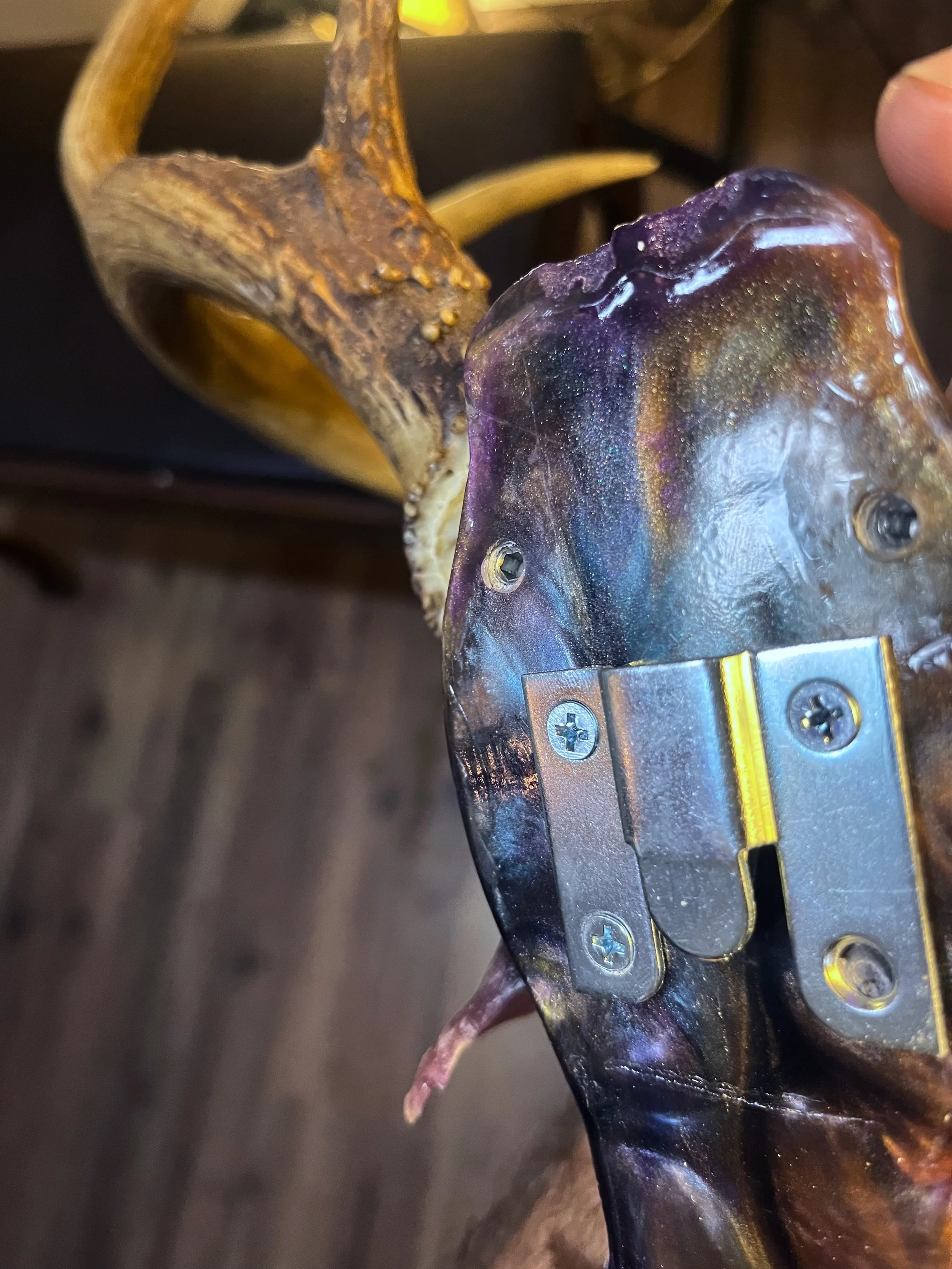 A close-up of a mounted animal head, likely a deer, with its antlers visible and a metal attachment on its skull.