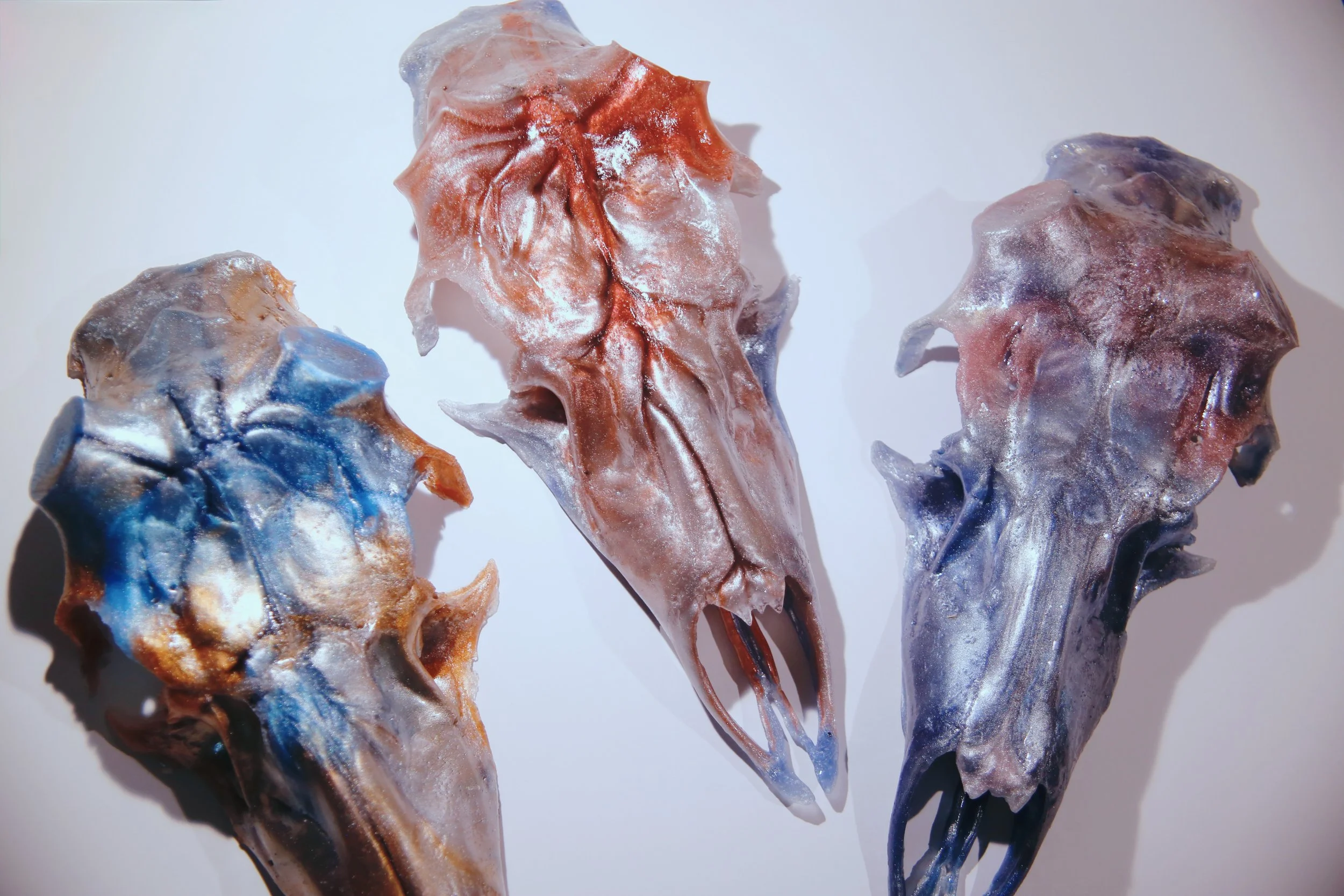 _MG_9112.jpeg (Copy)