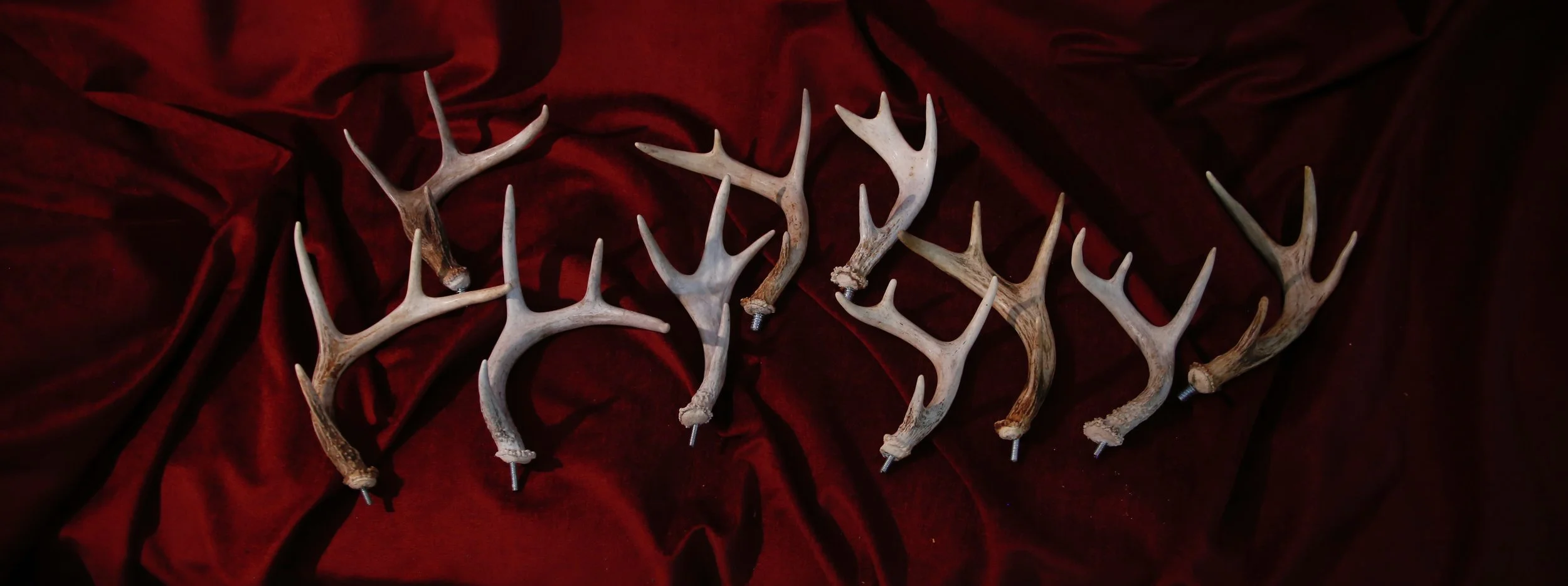 _MG_9039.jpeg (Copy)