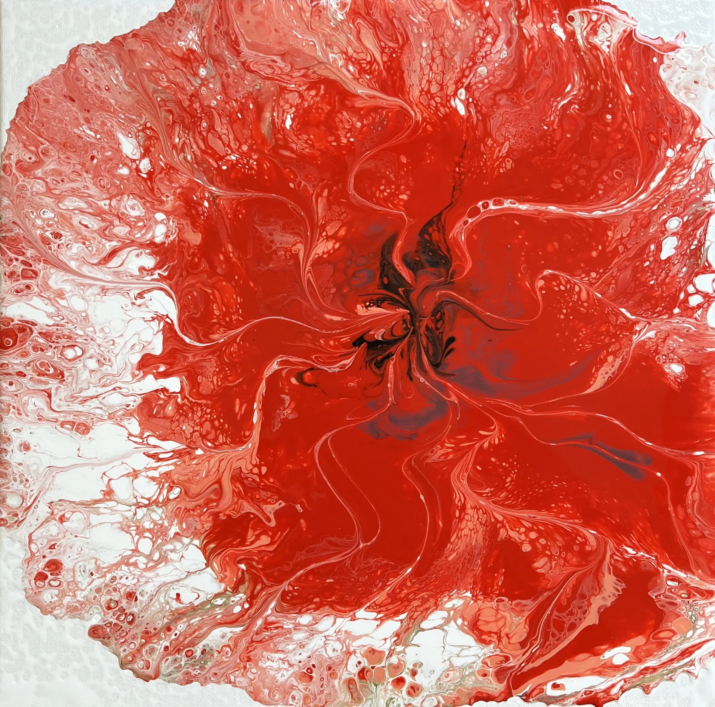 Poppy called Dexter.JPG