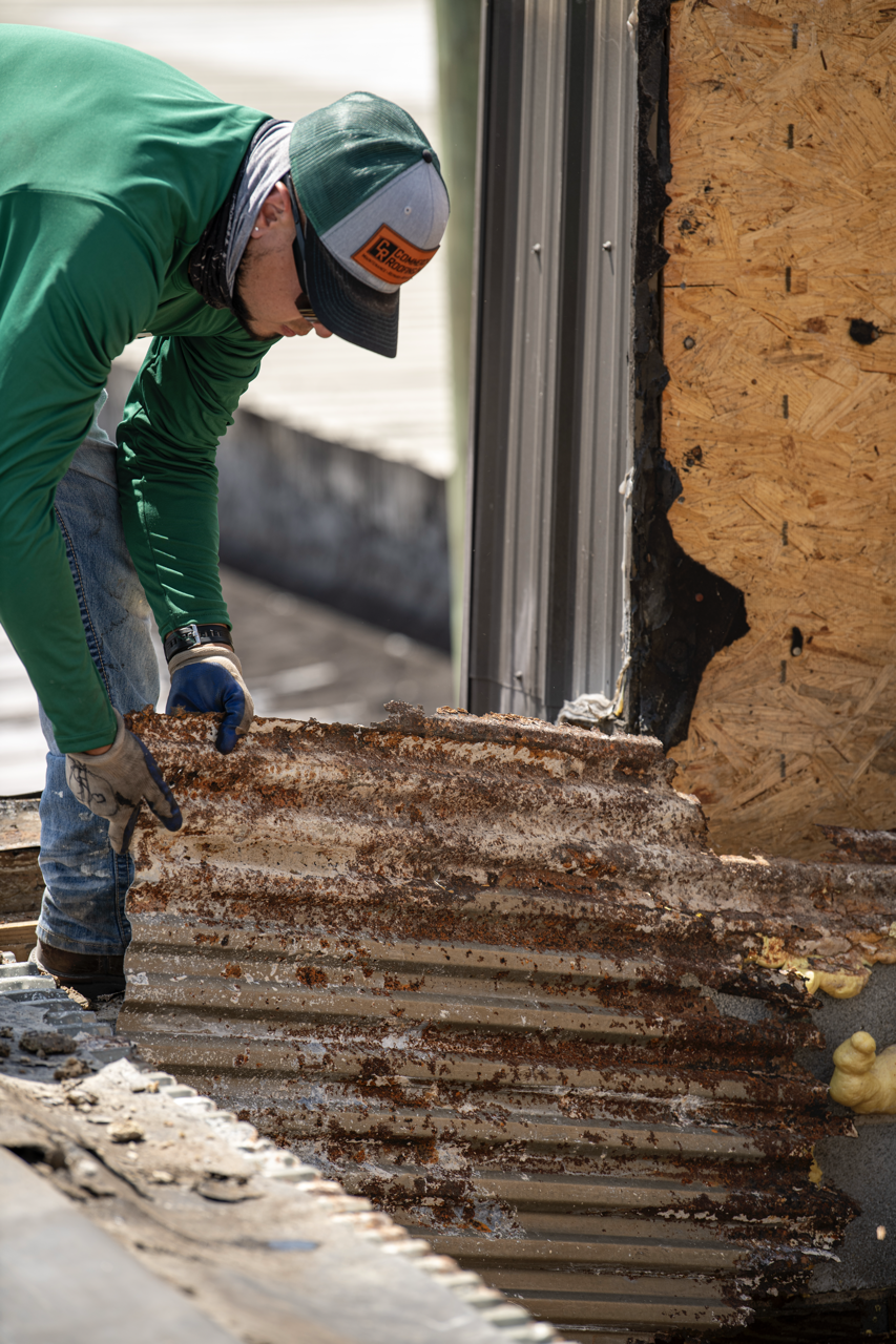 A person wearing a green shirt, a cap, and gloves is removing rusted corrugated metal roofing from a building.