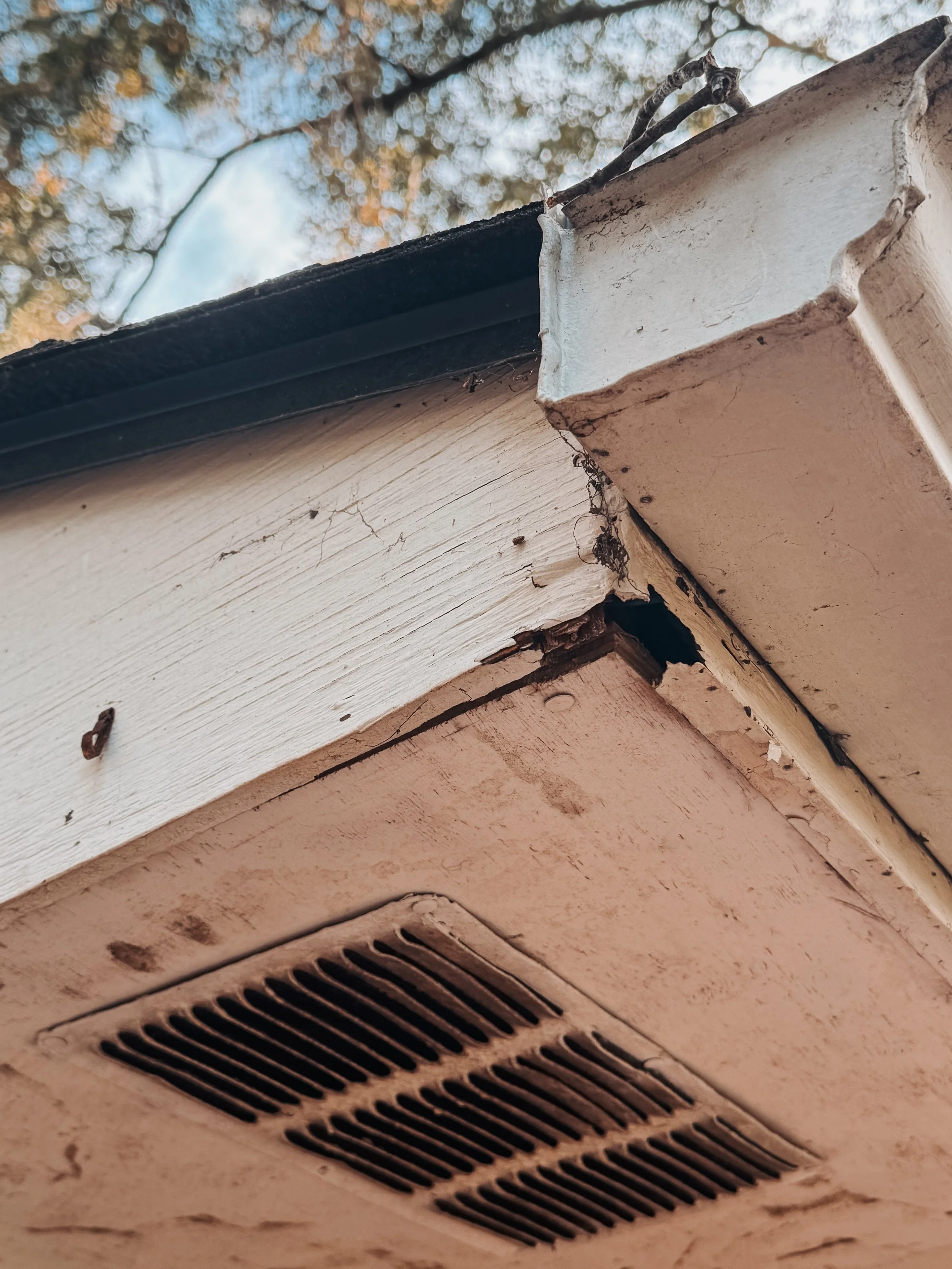 Why Cleaning Your Gutters Is More Important Than You Think