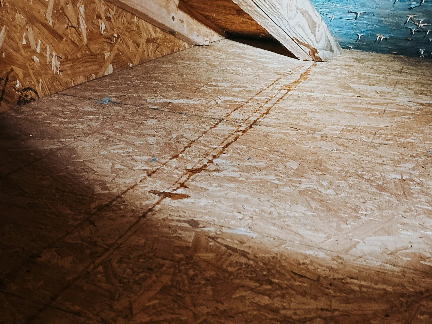 Why an Attic Inspection Is the Most Critical Part of Any Roof Inspection (and Why It’s a Red Flag If Your Roofer Skips It)