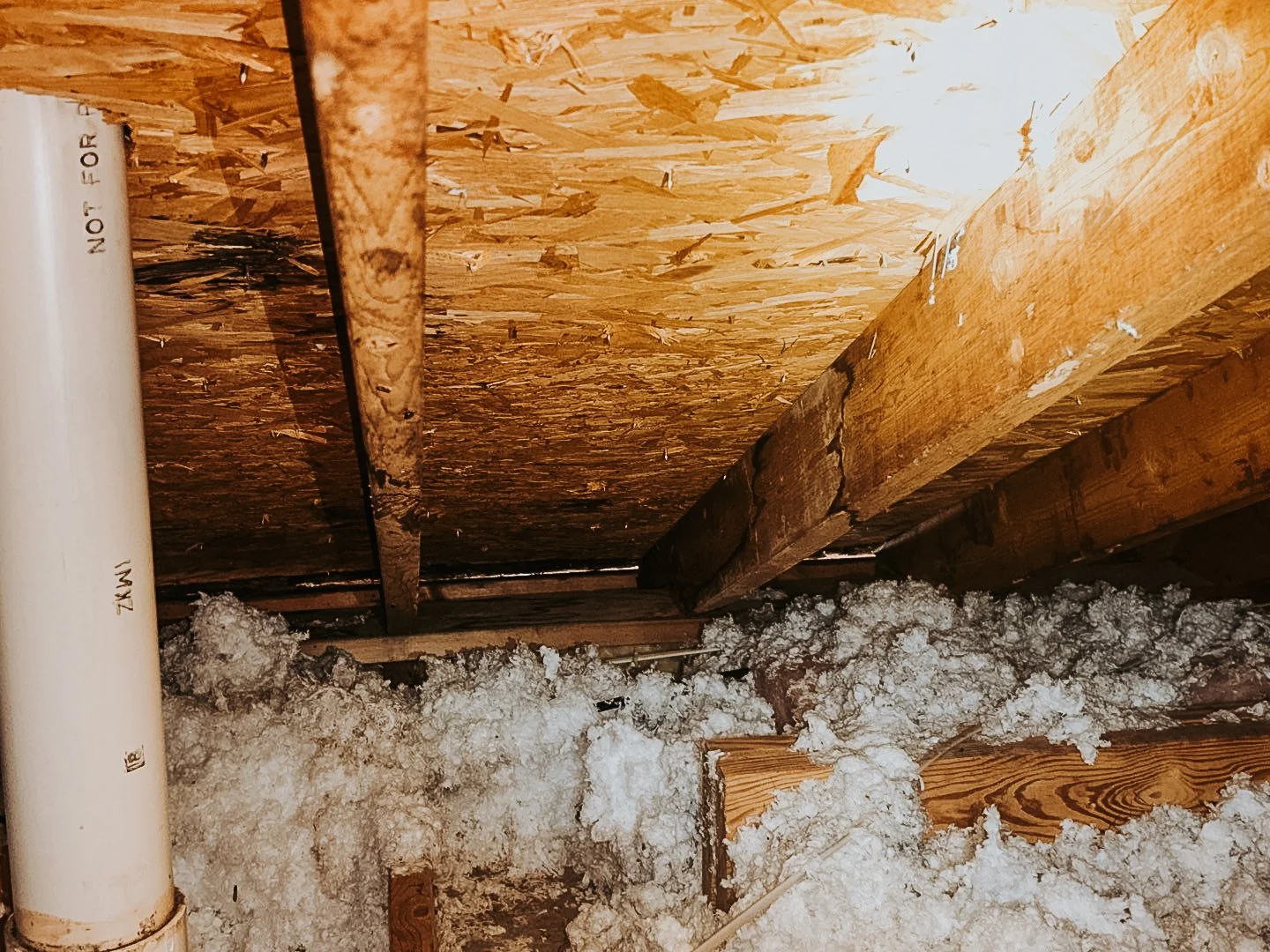 What Does Roof Damage Look Like from Inside the Attic?