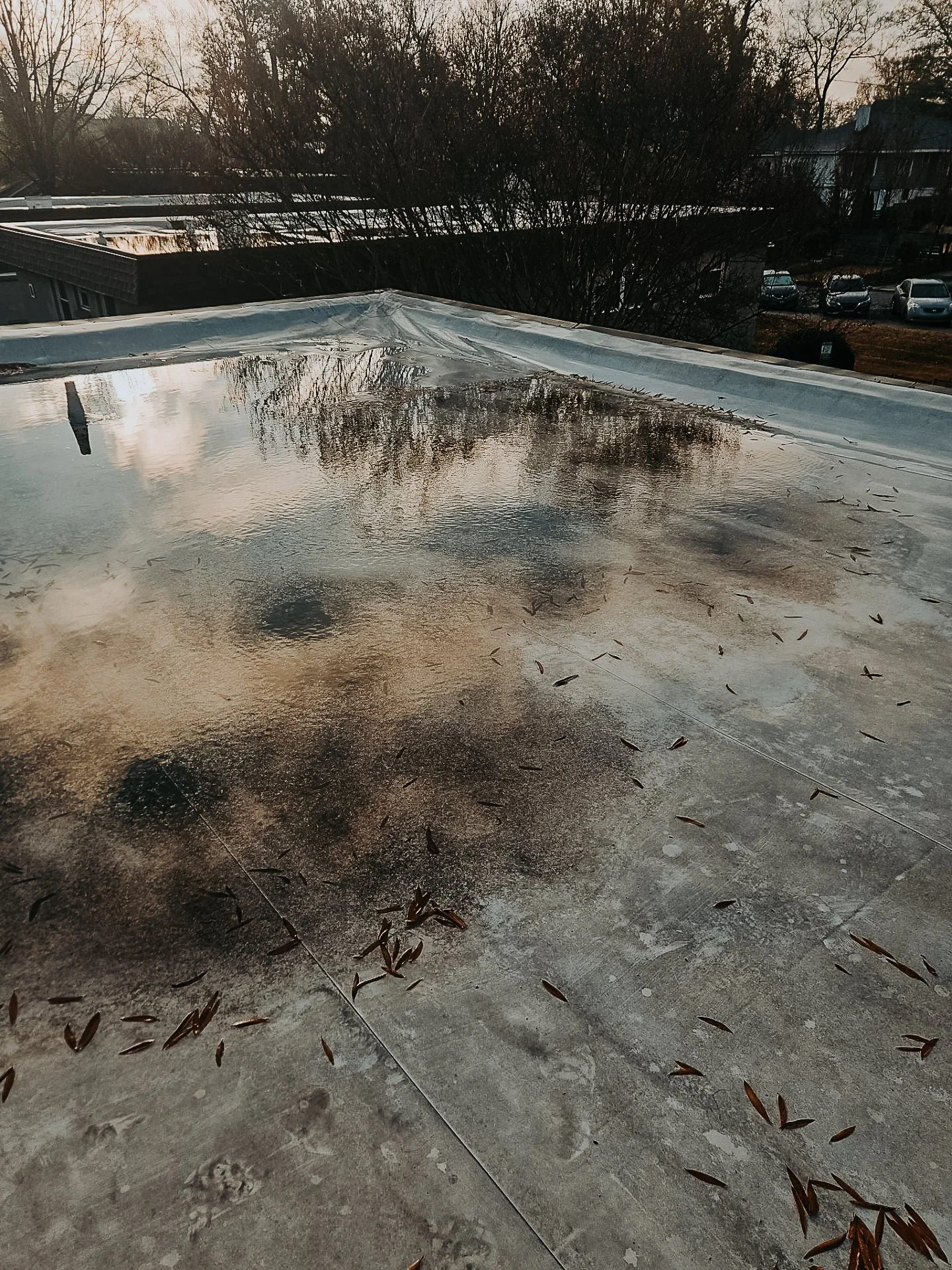What Causes Ponding Water on Flat Roofs?