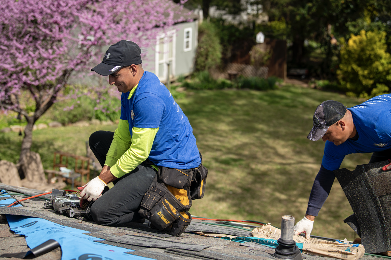Two workers installing or repairing a roof in a backyard with pink and yellow flowering trees.