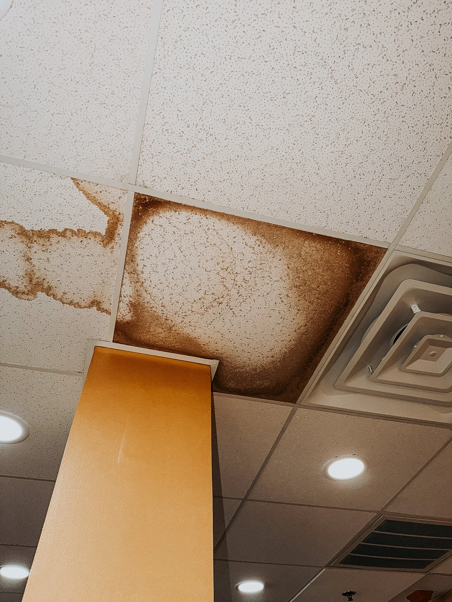 Ceiling tile with water damage and brown mold stains near the air vent and a beige support beam in an indoor space.