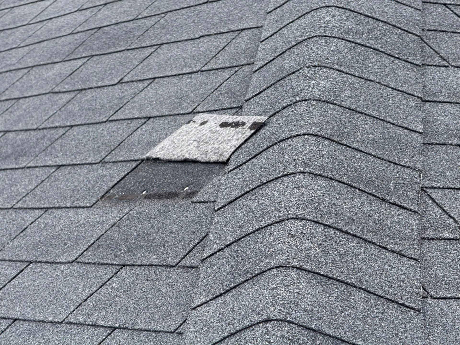 Don’t Ignore That Loose Shingle - What Greenville Homeowners Should Know
