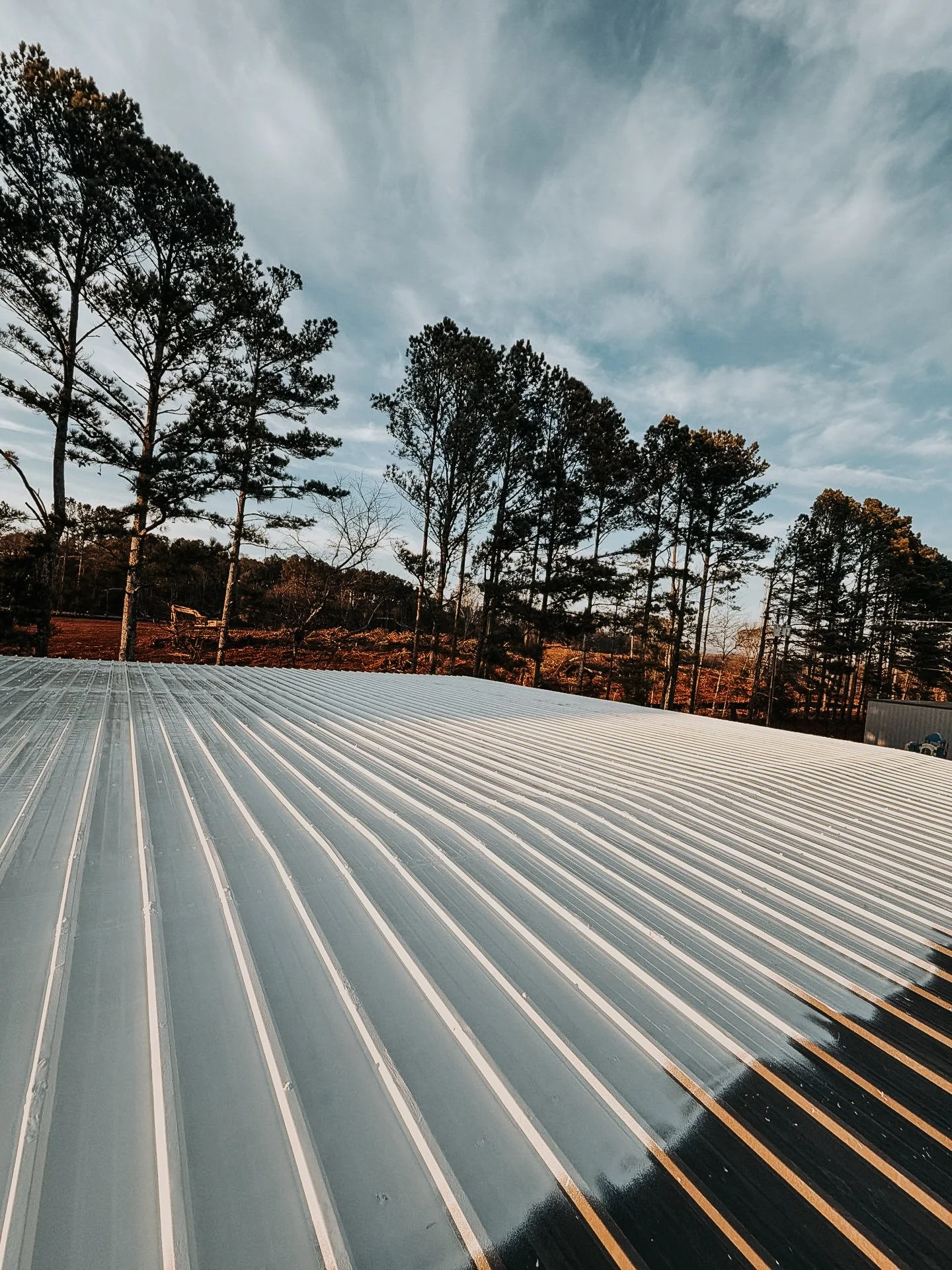 A metal roof with parallel ridges, surrounded by tall pine trees under a partly cloudy sky.