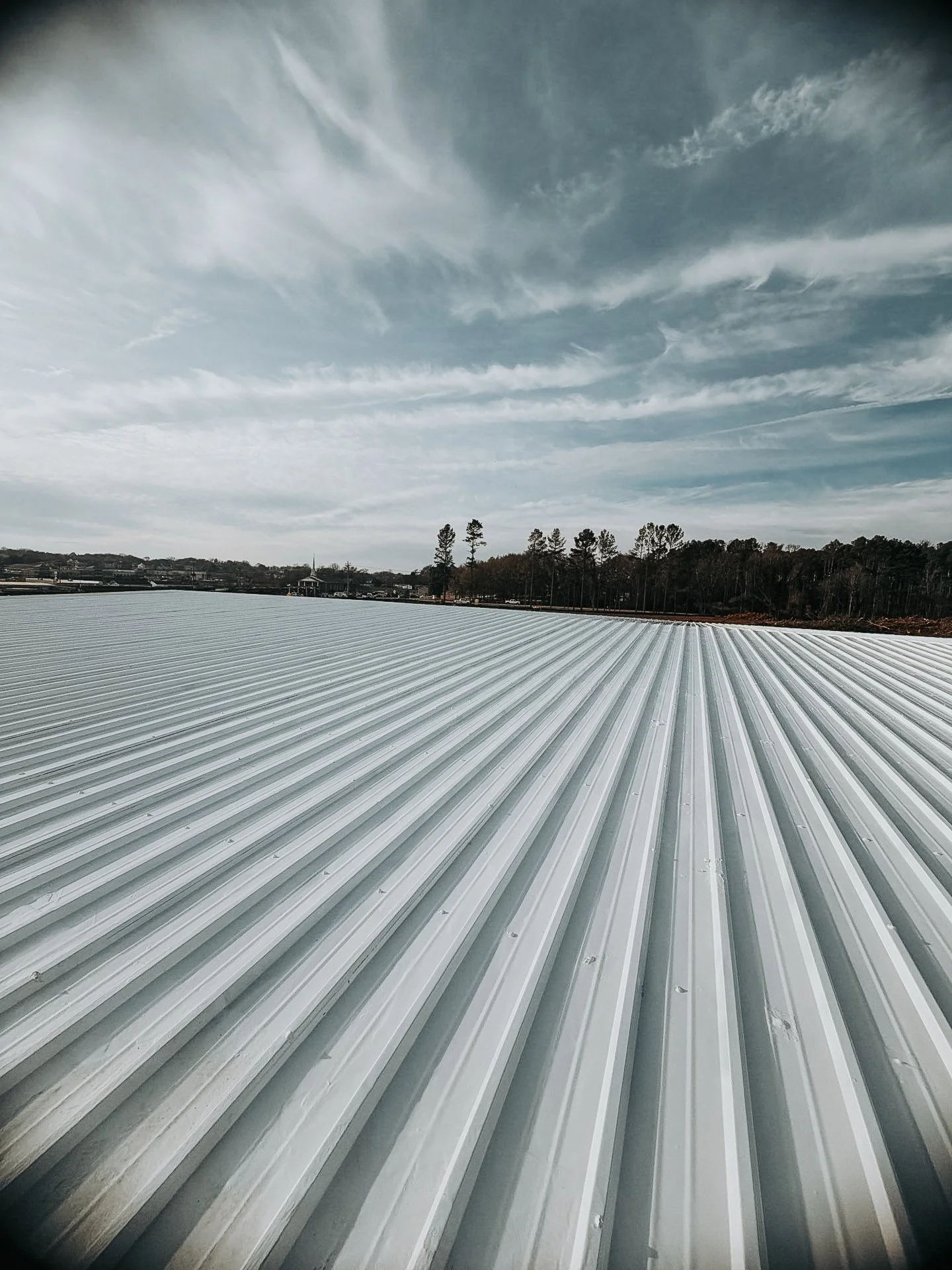 Metal roof panels extending towards the horizon with a line of trees and a cloudy sky in the background.