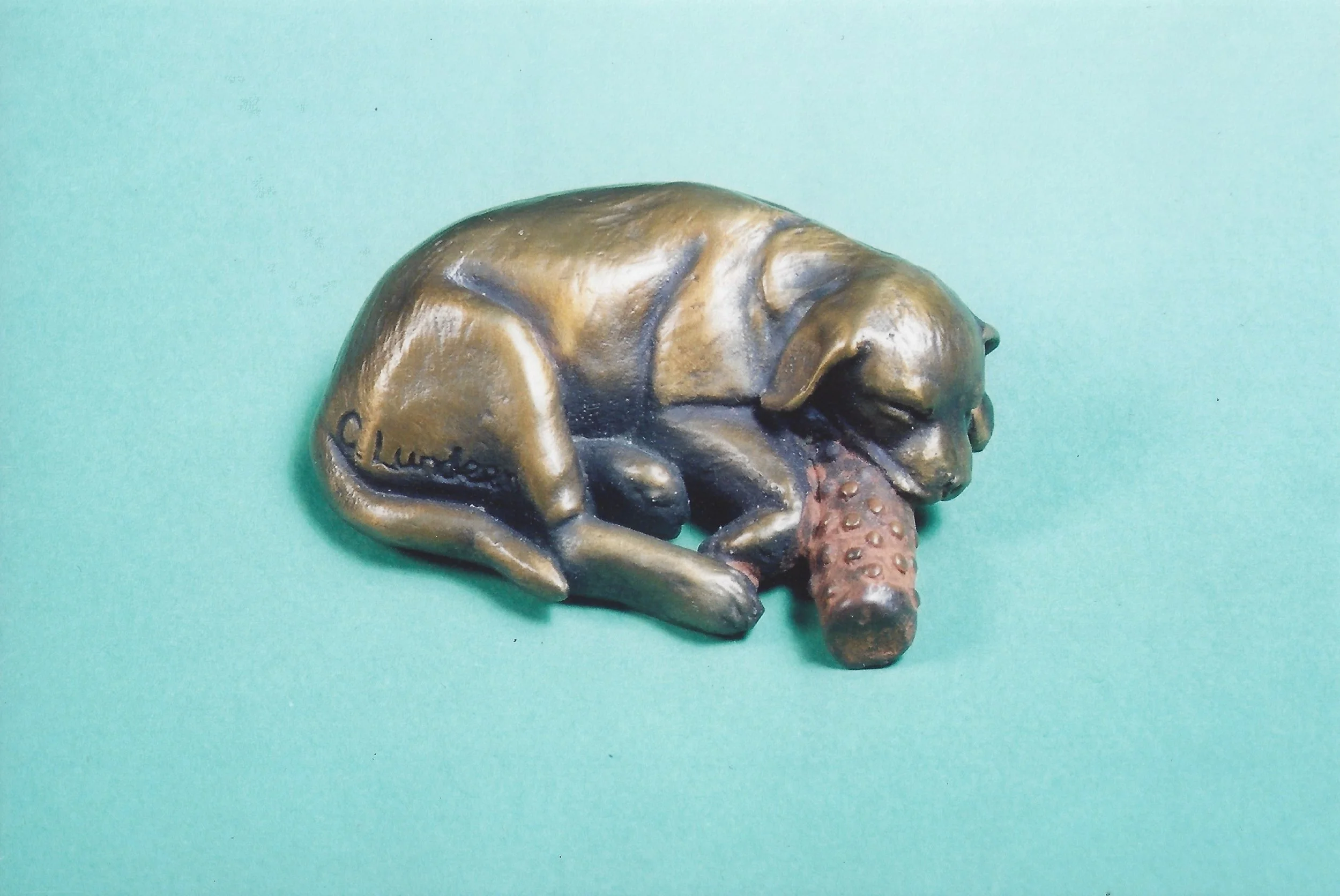 "Lab-top - Mini" by Cammie Lundeen
