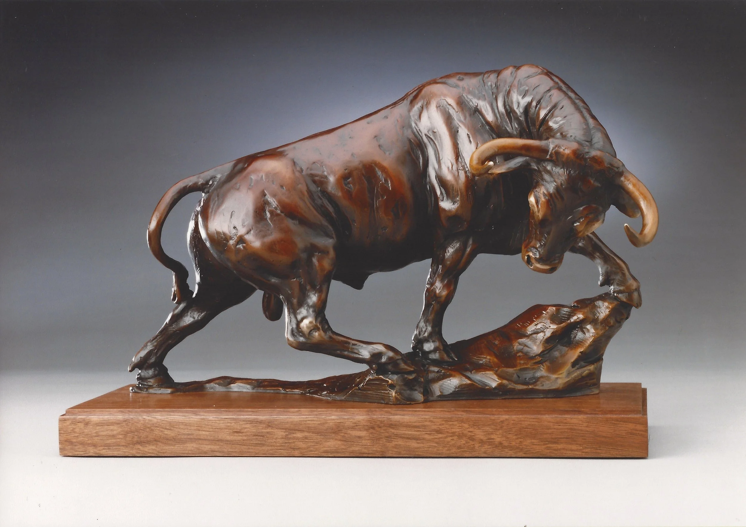 "Bullish" by Cammie Lundeen