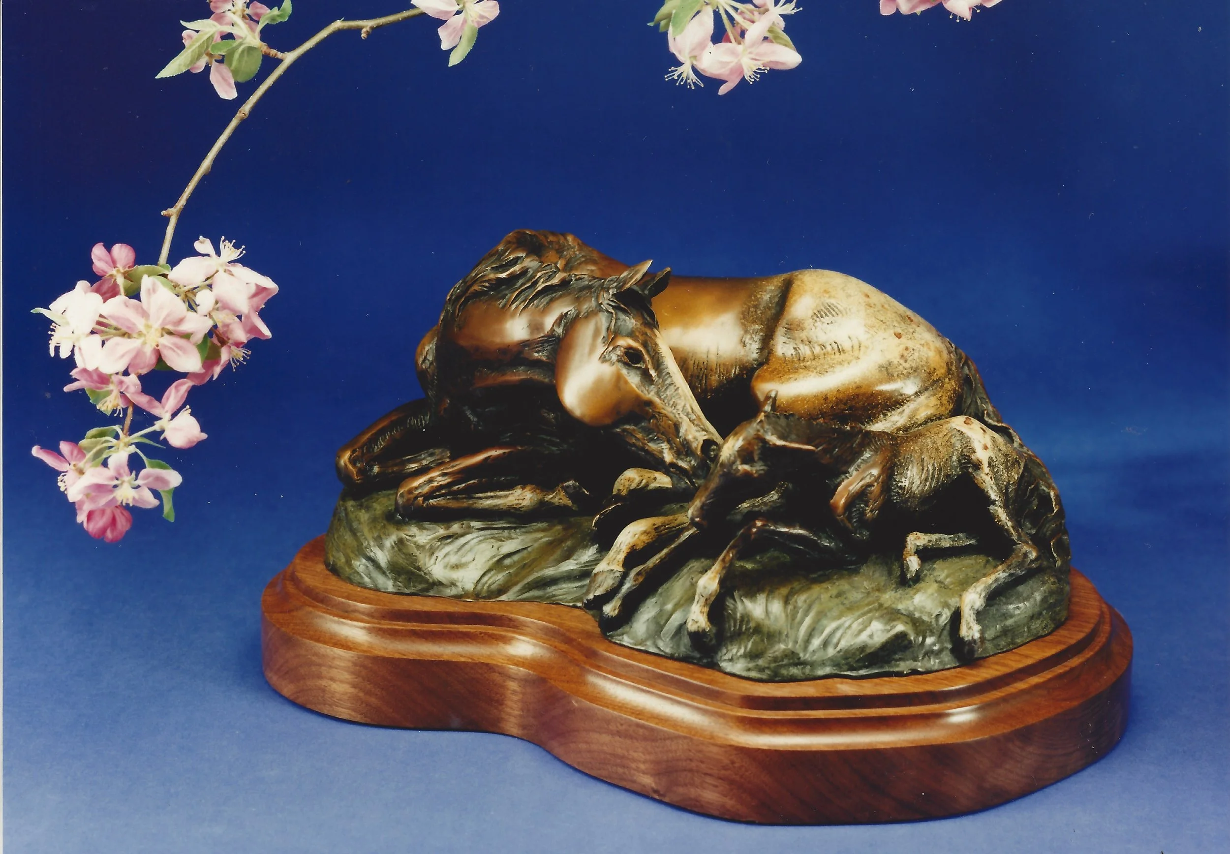 "Roses and Bud" by Cammie Lundeen