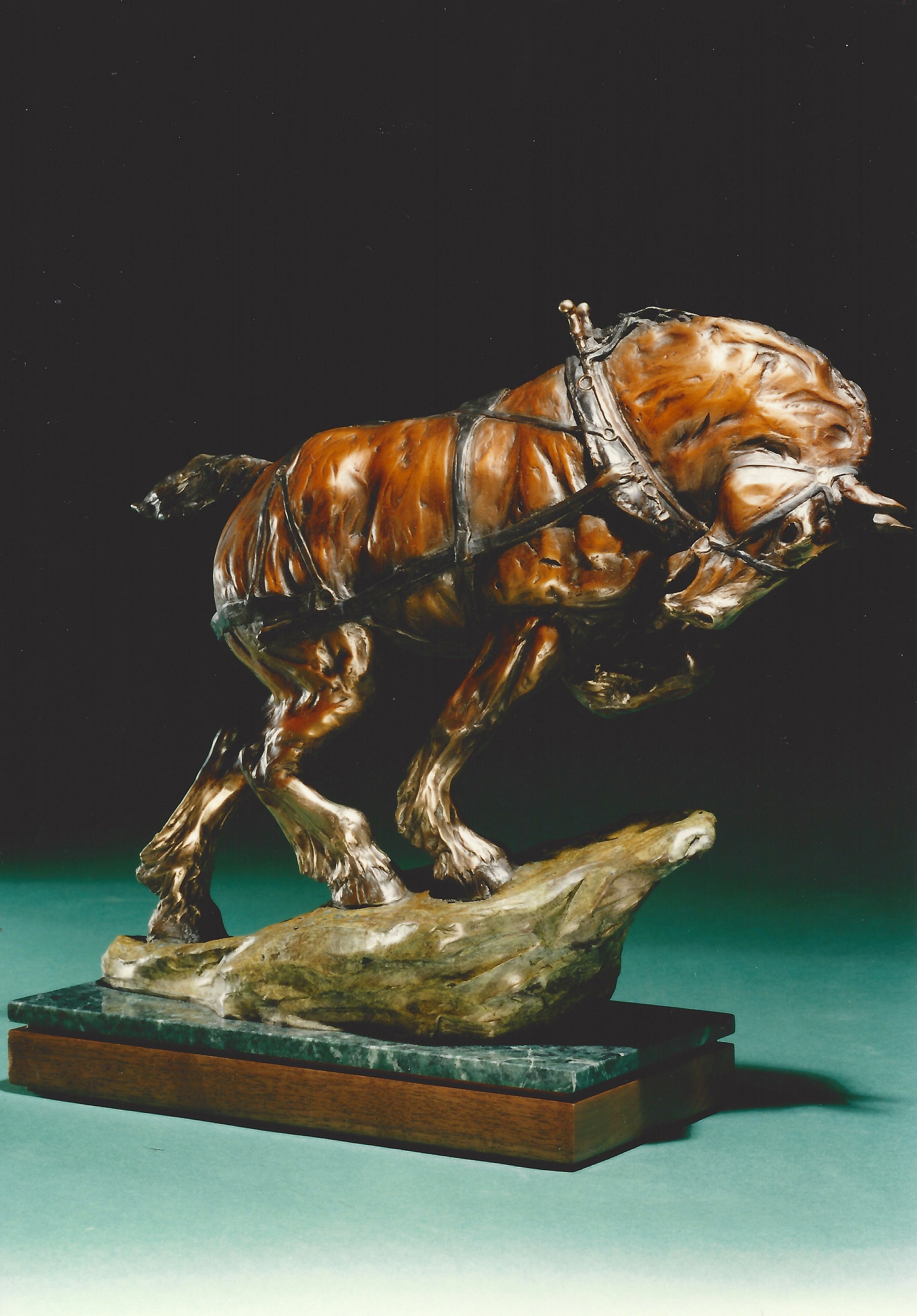 "Power to Spare" by Cammie Lundeen