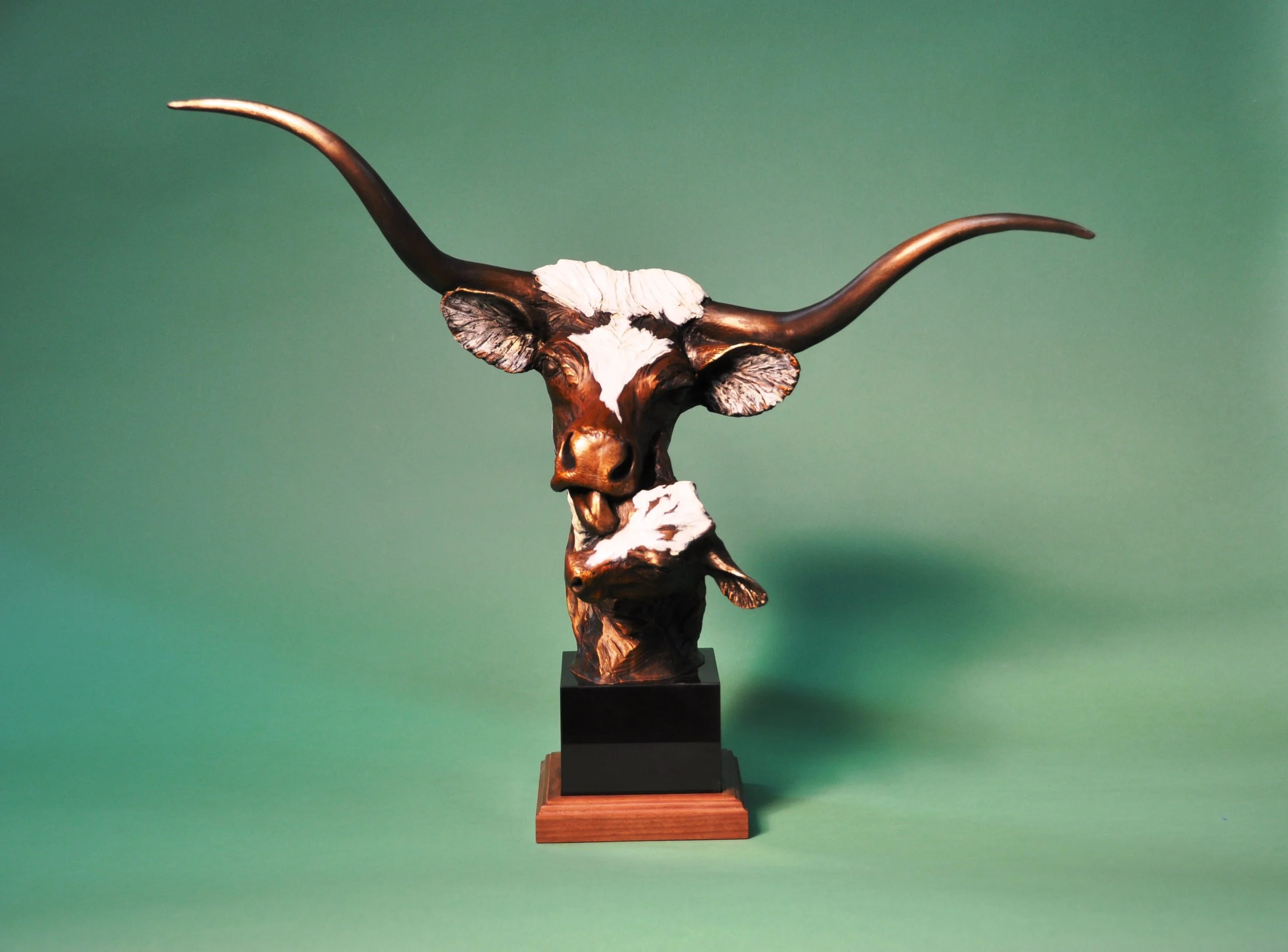 Cowlick - Longhorn by Cammie Lundeen