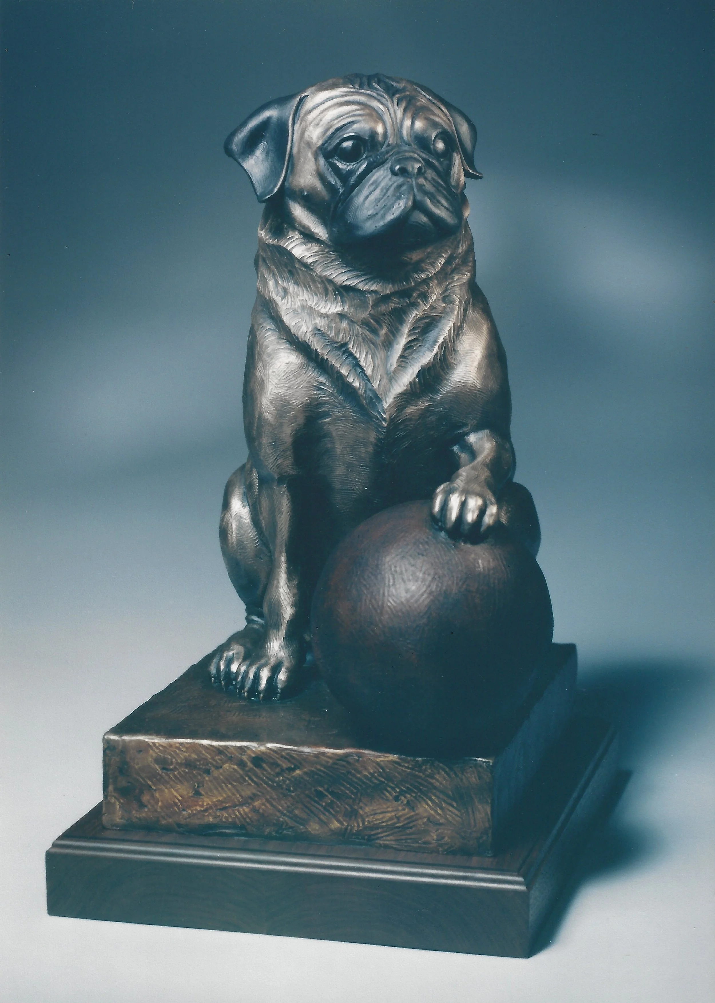"The Sentinel" by Cammie Lundeen