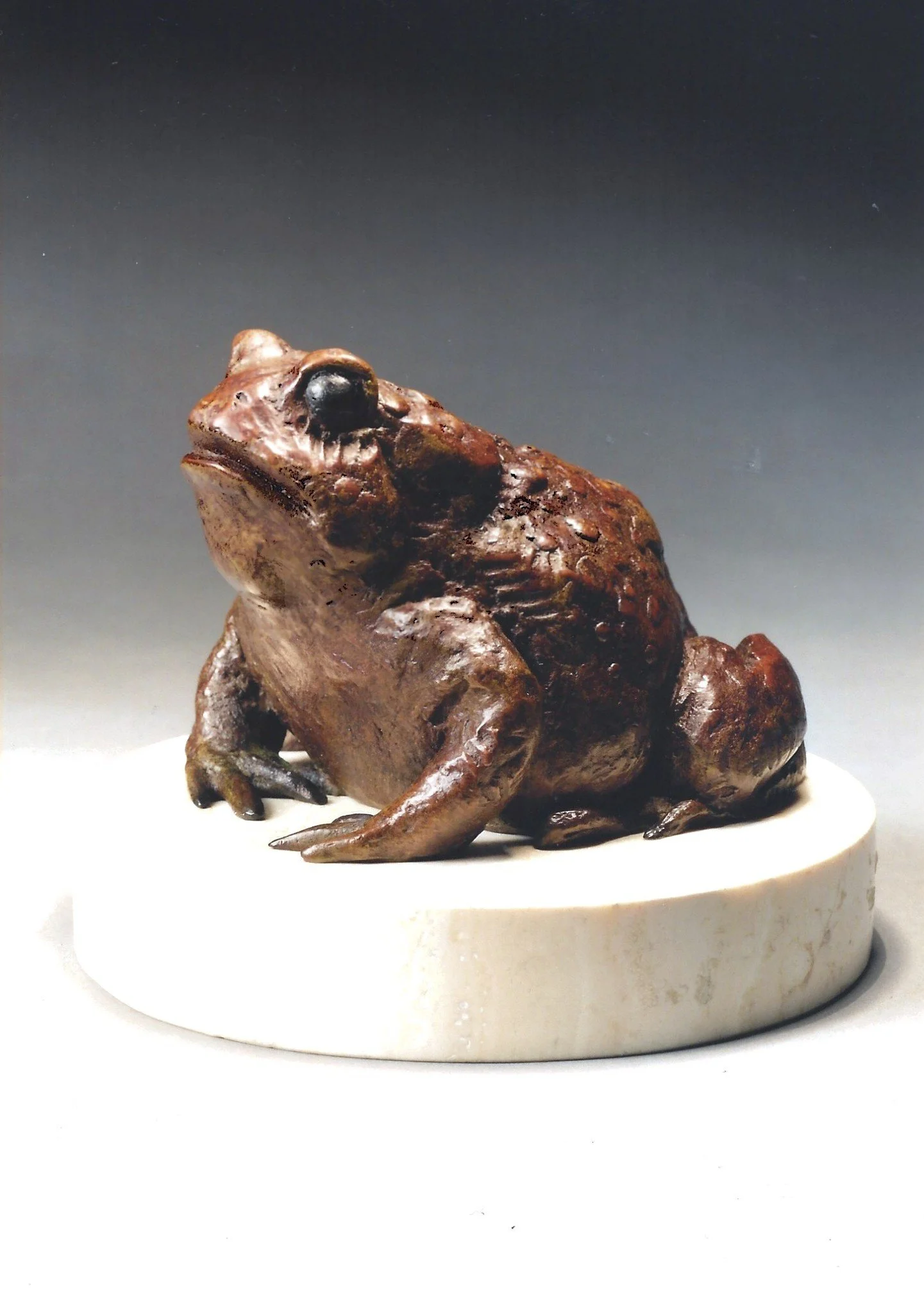 "Jump" by George Lundeen