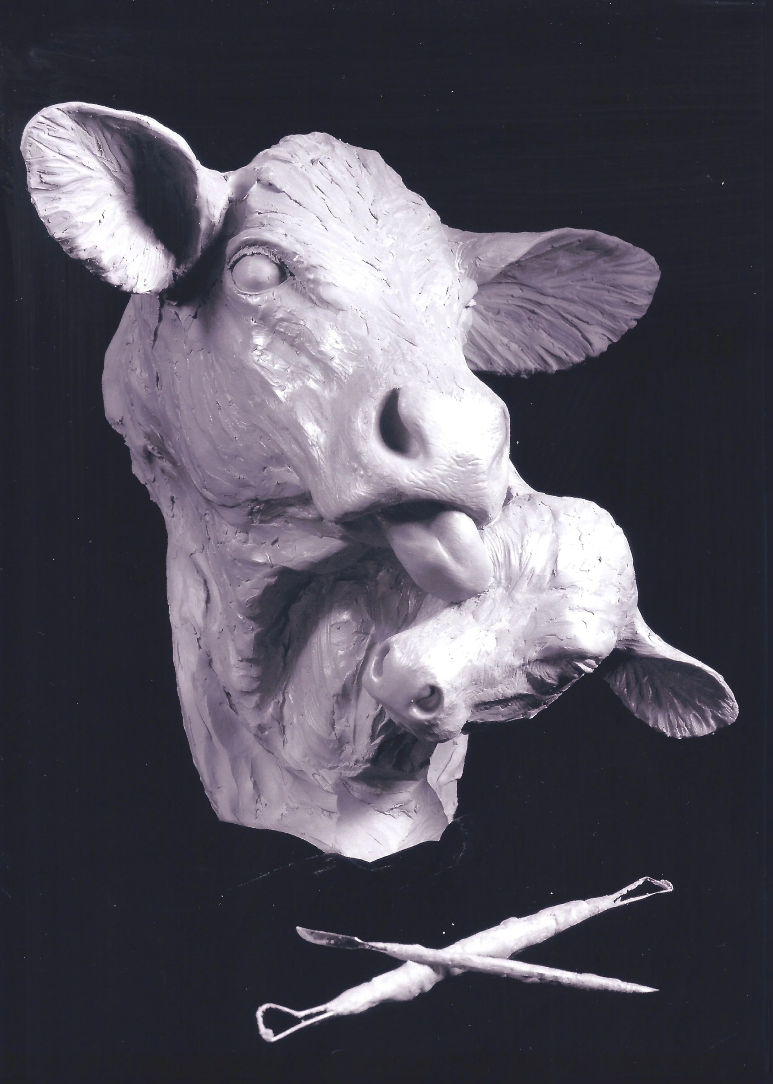 Cowlick - Classic by Cammie Lundeen