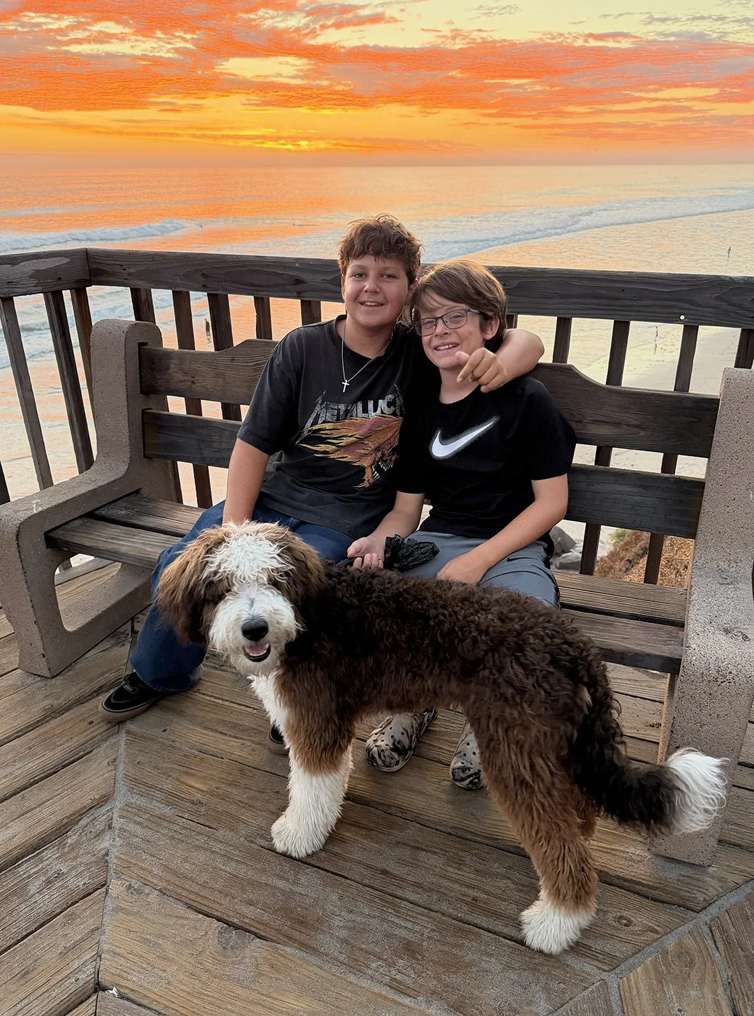 Wolter Boys at the Beach with their Bernedoodle