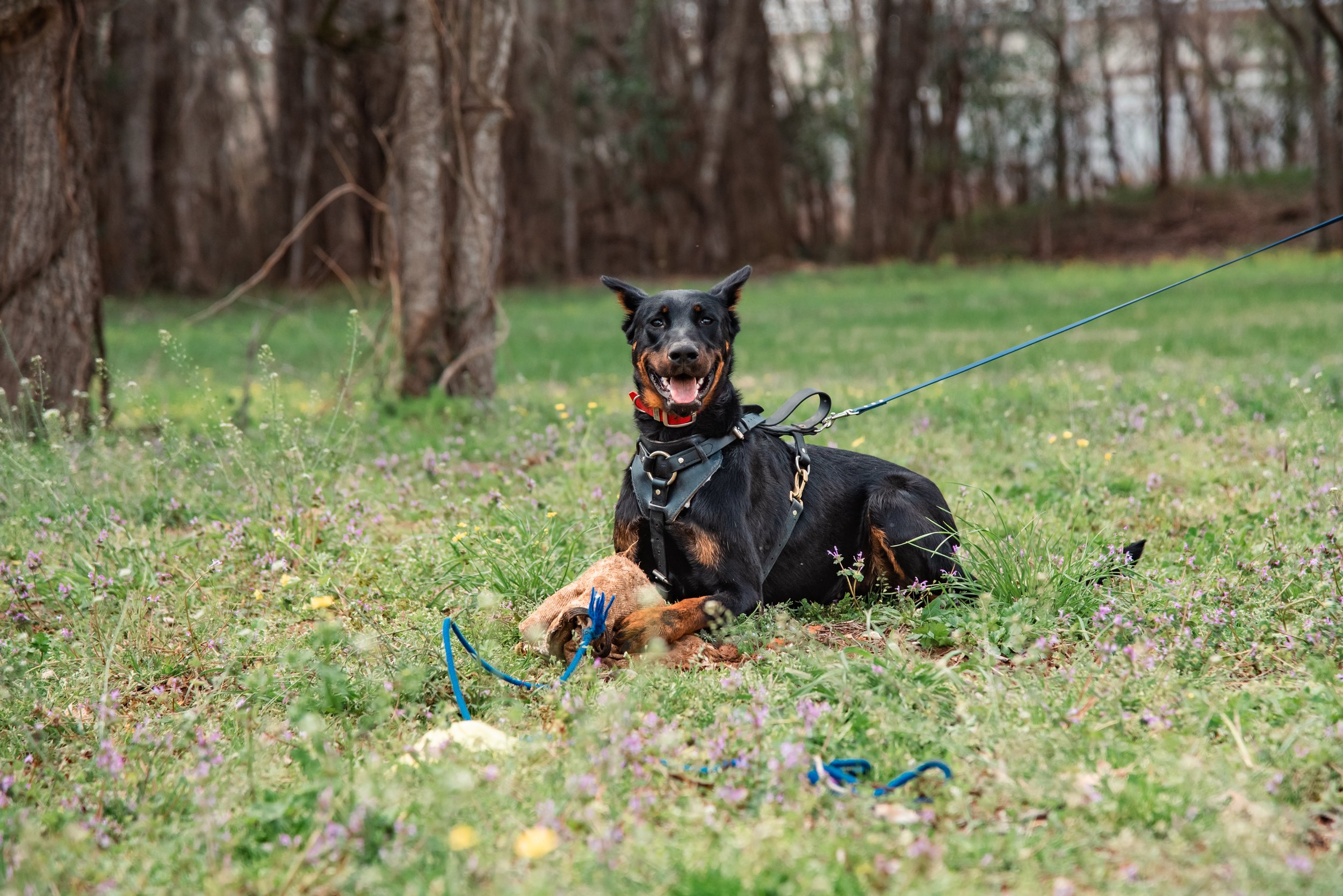DSC_4479.jpg