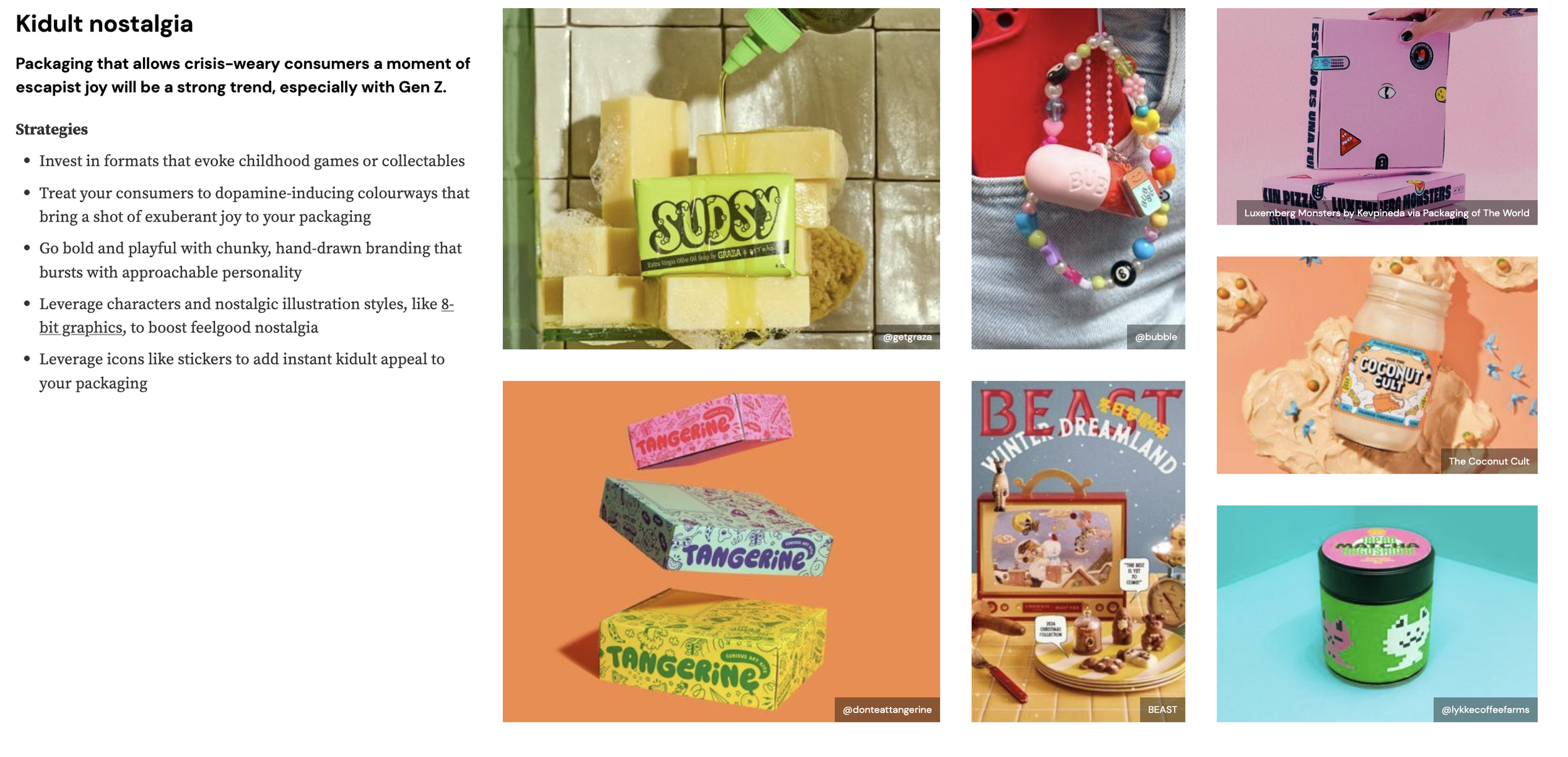 WGSN: Buyers’ Briefing A/W 25/26: Colour & Print