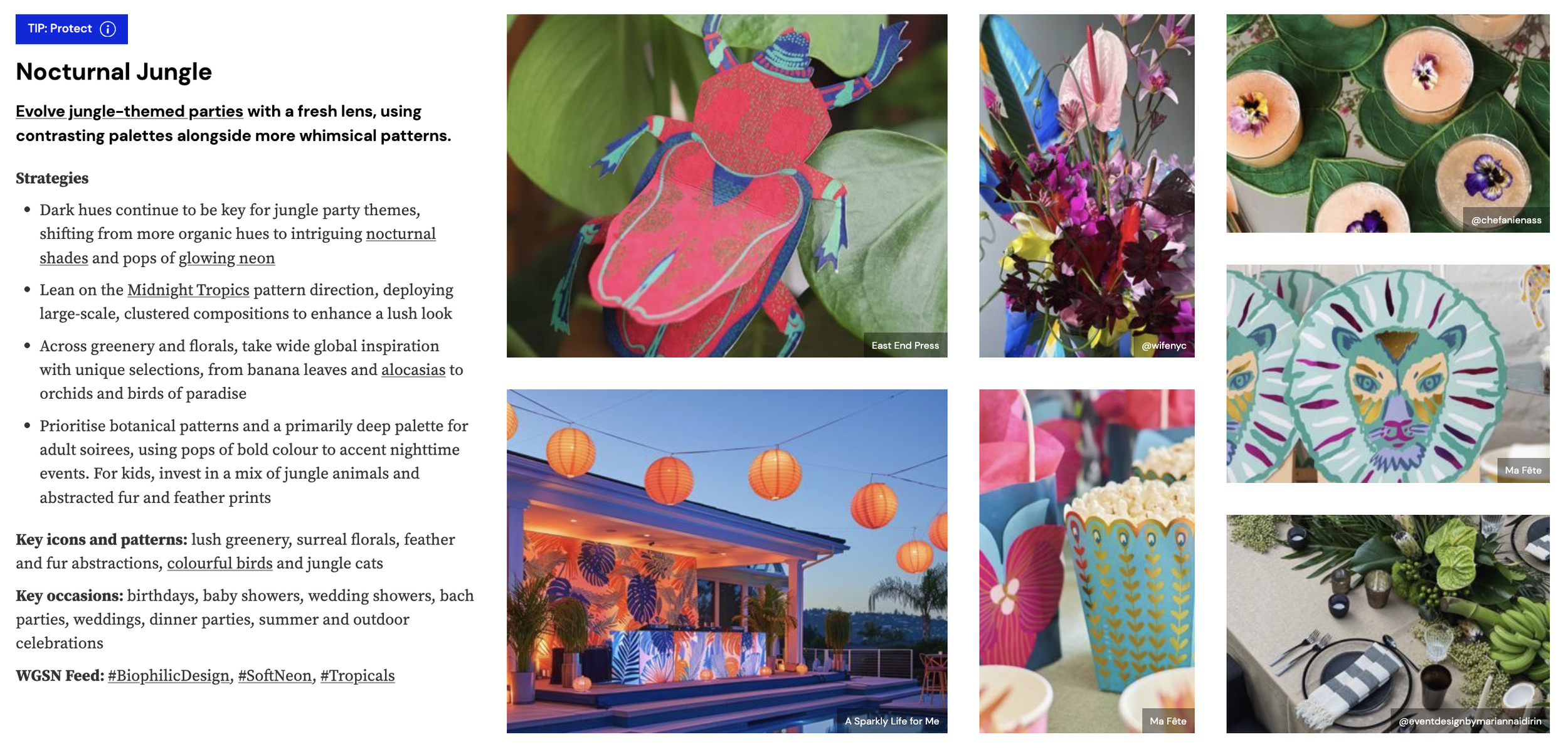 WGSN: Party Themes: 10 Key Trends for 2025