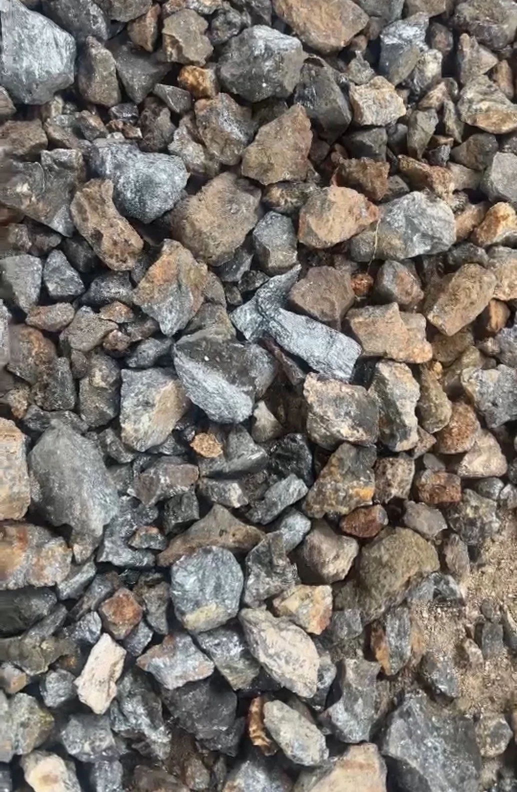 S__6643734.jpg