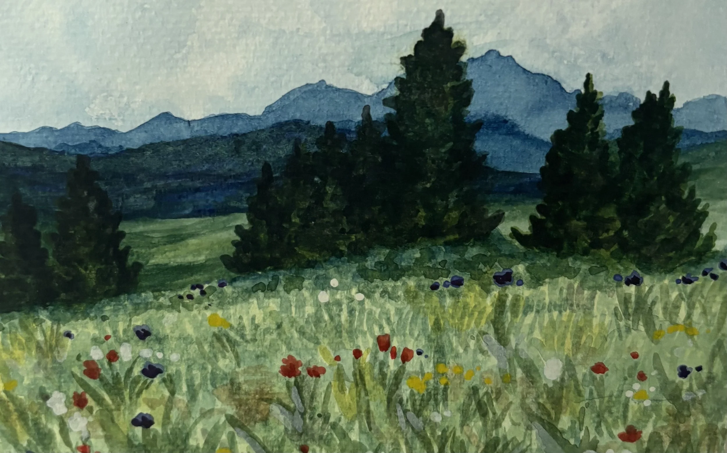 Caroline Blankenship