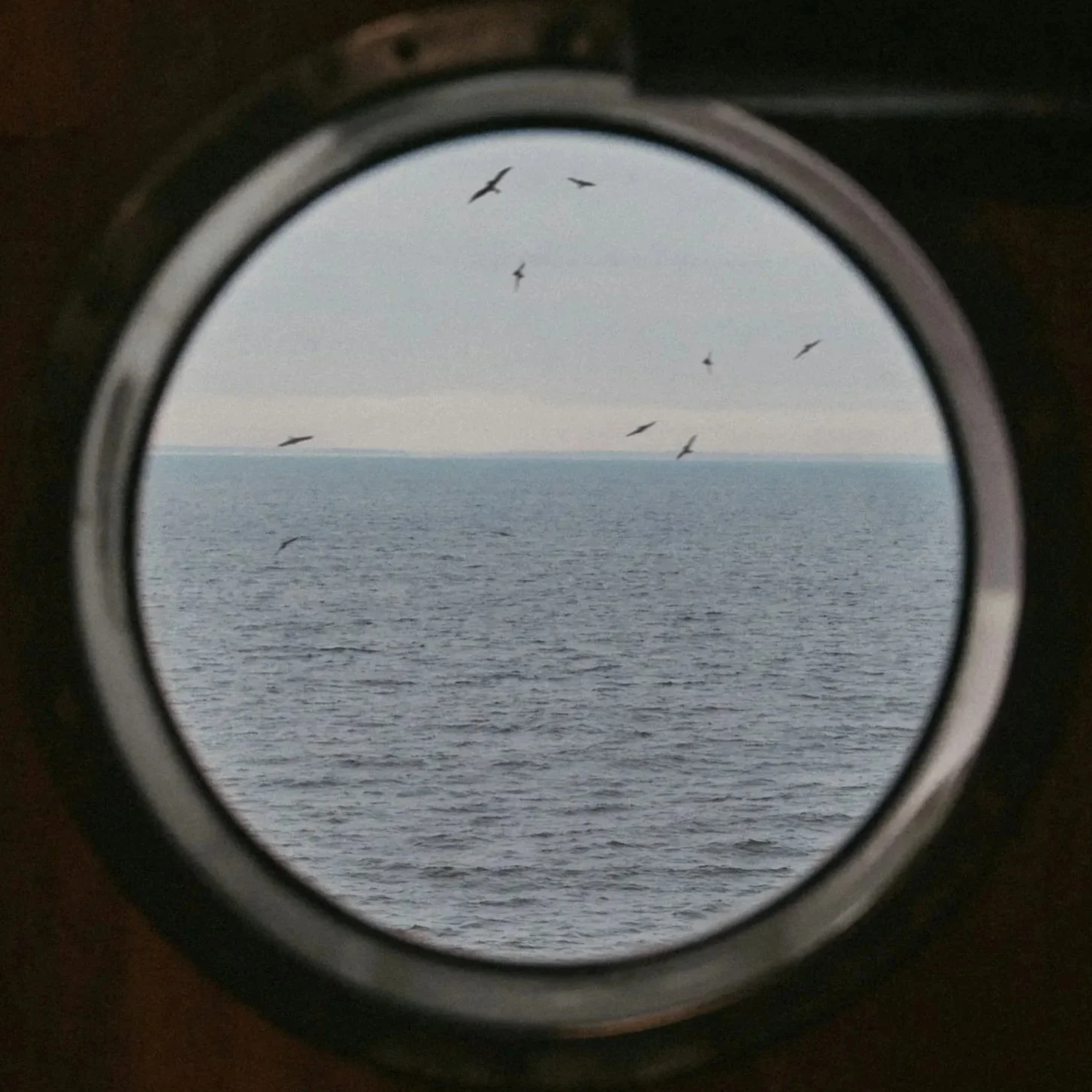 Seaside view of the ocean with a flock of birds flying in the sky, seen through a round window or porthole.