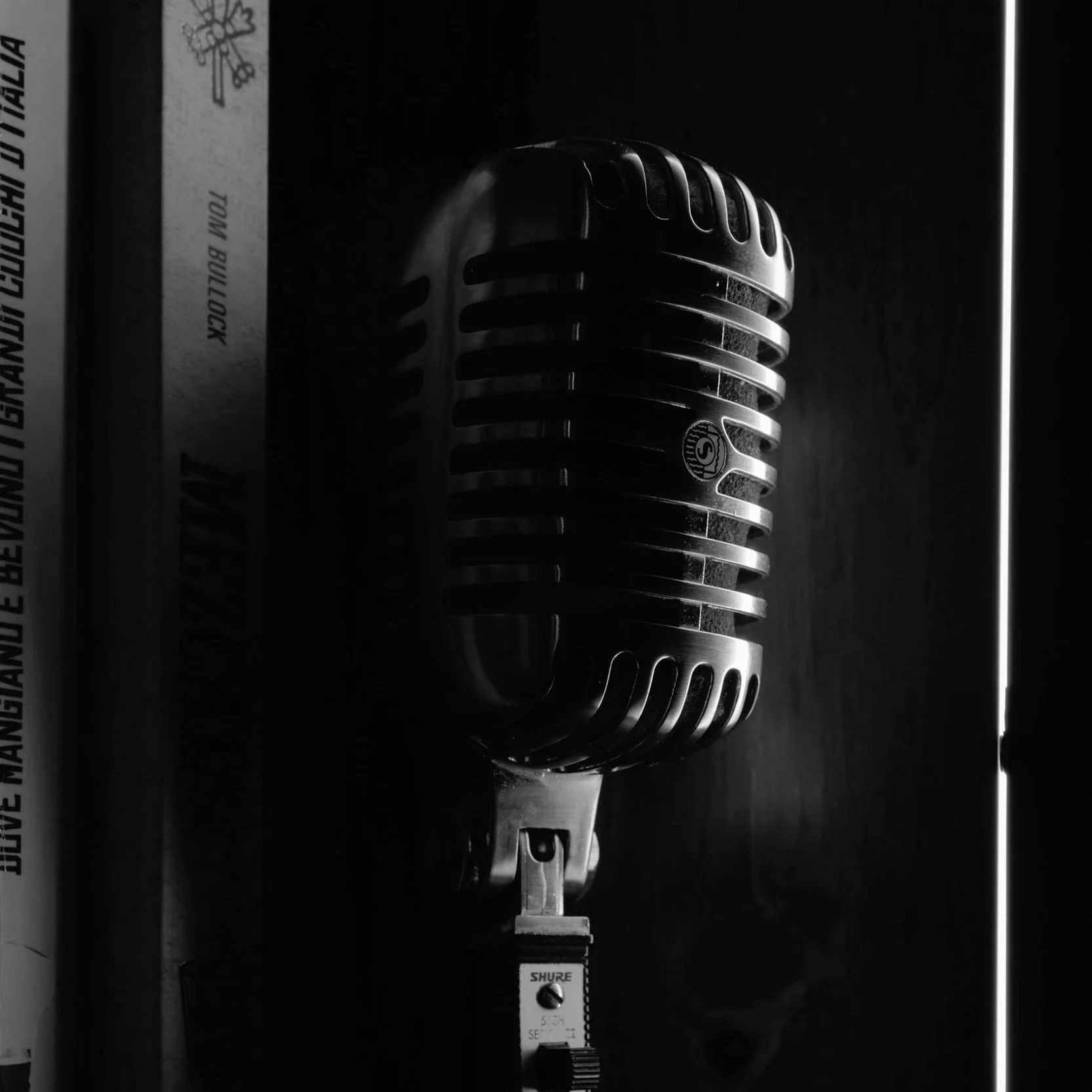 A vintage-style microphone with a metallic grill and a small black logo on the front, attached to a microphone stand, with a label and some text partially visible in the background.